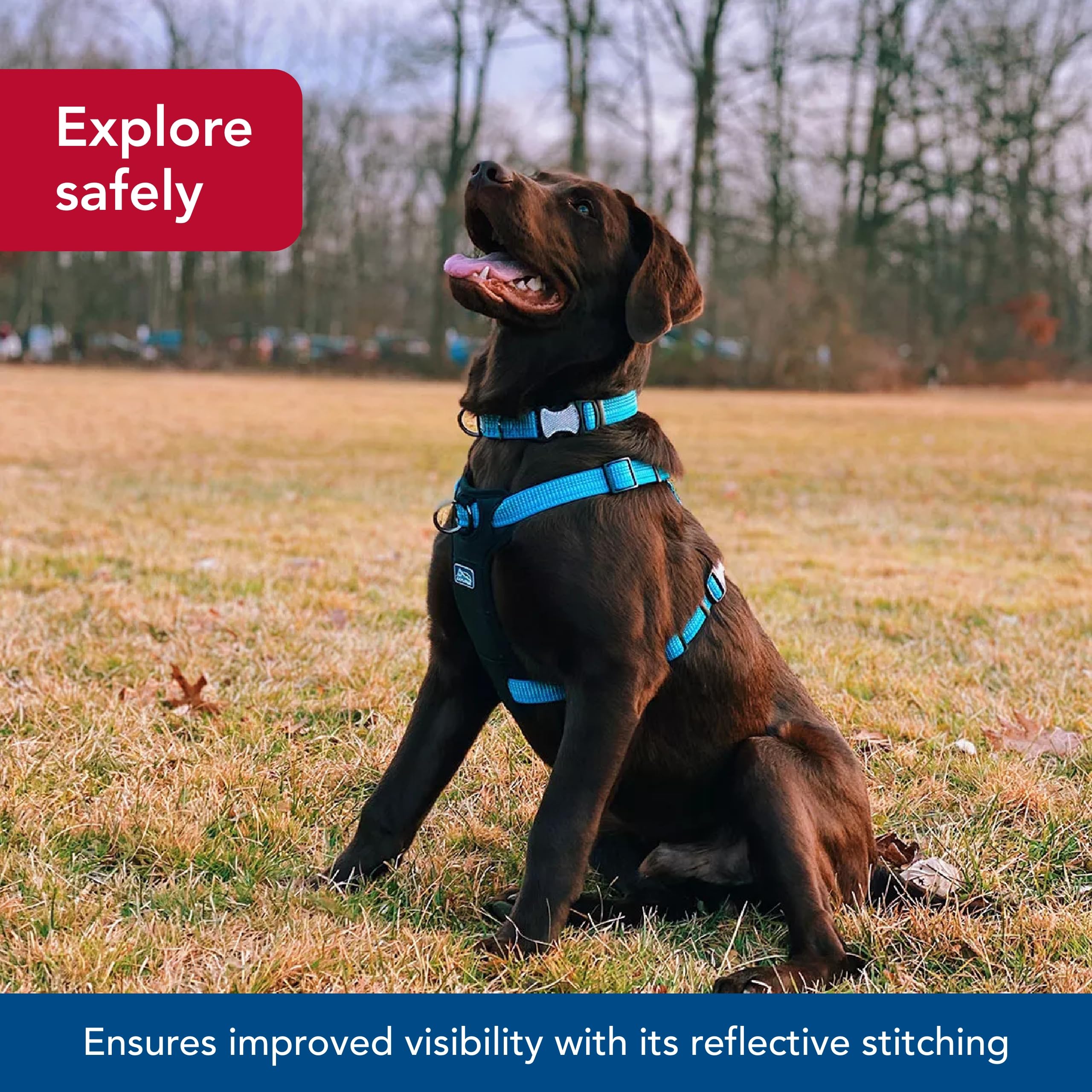 Coastal - K-9 Explorer - Brights Reflective Front-Connect Harness, Lake, 5/8'' X 12''-18''