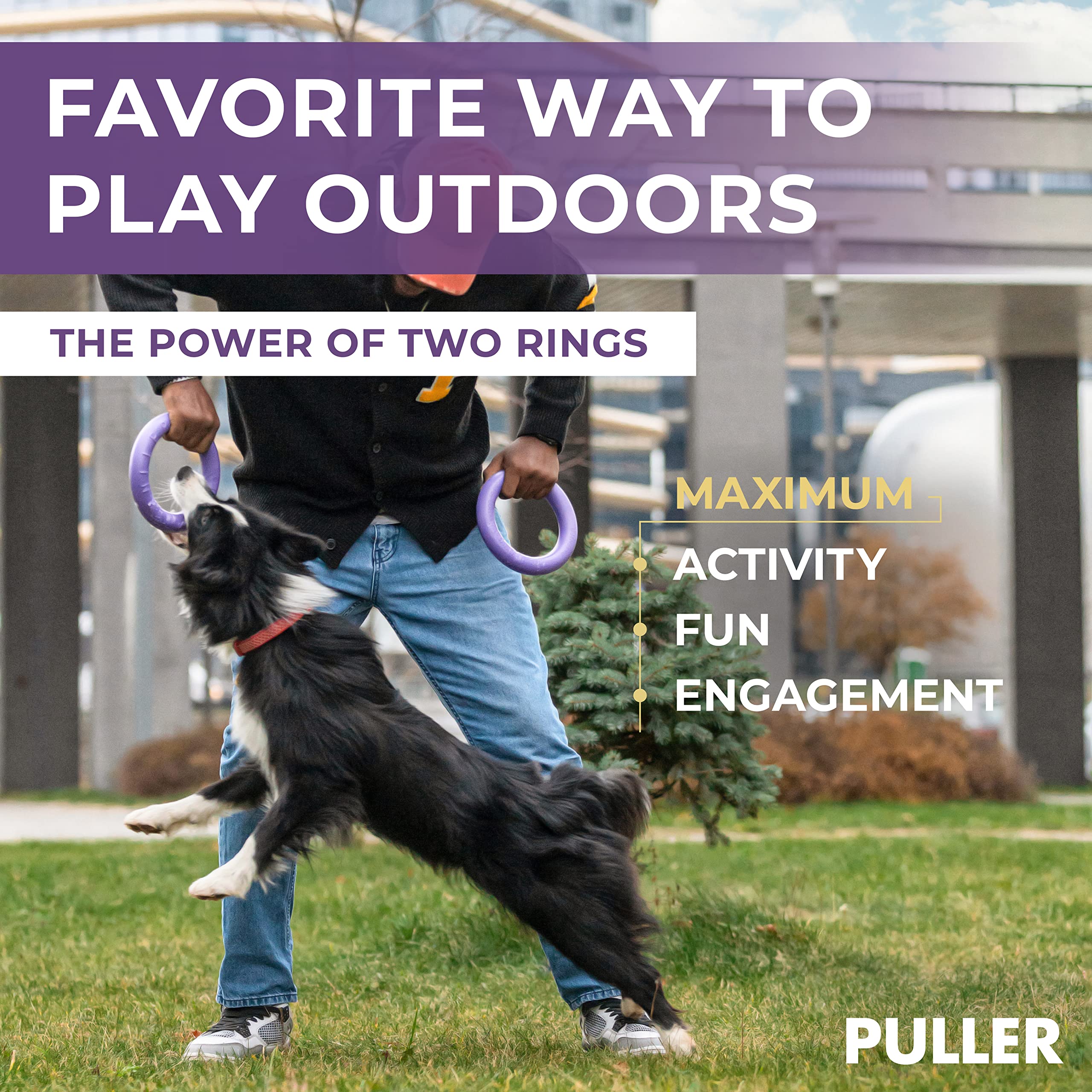 COLLAR Puller Outdoor Dog Ring Toy - Tug of War & Fetch for Small to Large Dogs - Purple, MIDI Size, Polymer Foam