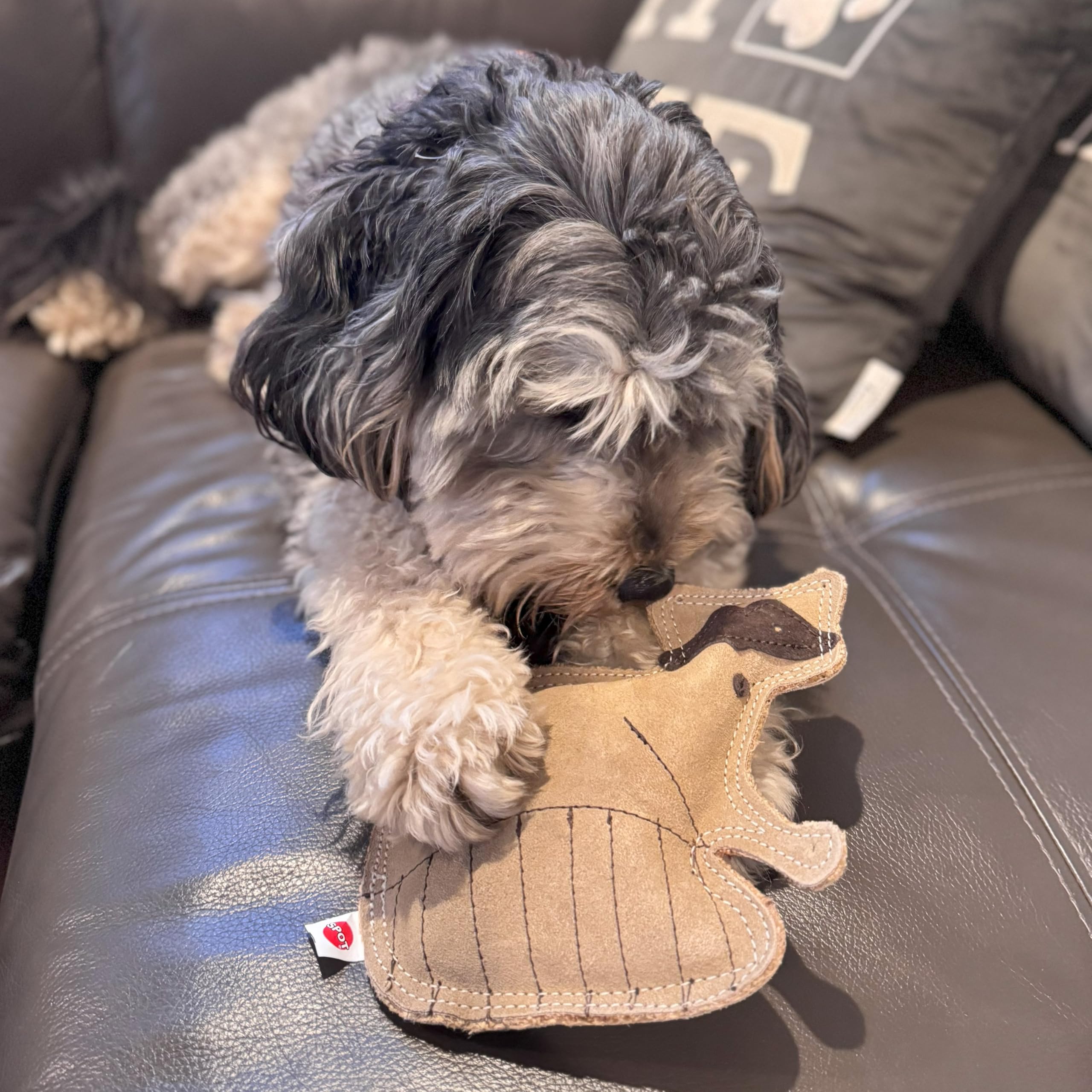 Spot Dura-Fused Leather Raccoon - Dog Toy With Squeaker, Made With Real Leather And Jute Fabric, Interactive Toy For Aggressive Chewers, Durable Squeaky Toy For Dogs And Puppies, 7.25In