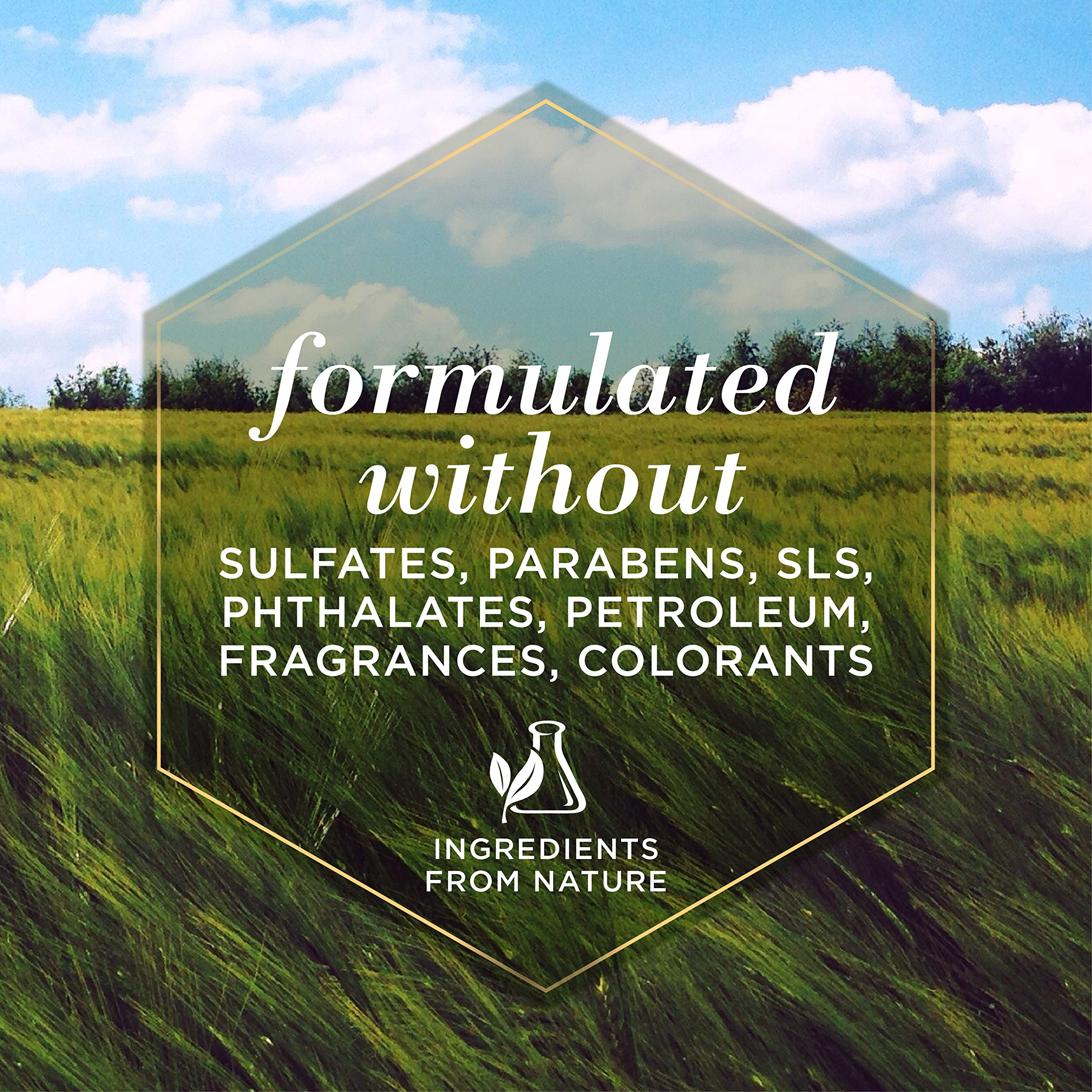 Burts Bees for Pets Eye Wash with Saline Solution for Dogs, 99.9% Natural Origin Formulas, Dog Eye Cleaner, Eye Wash for Dogs,