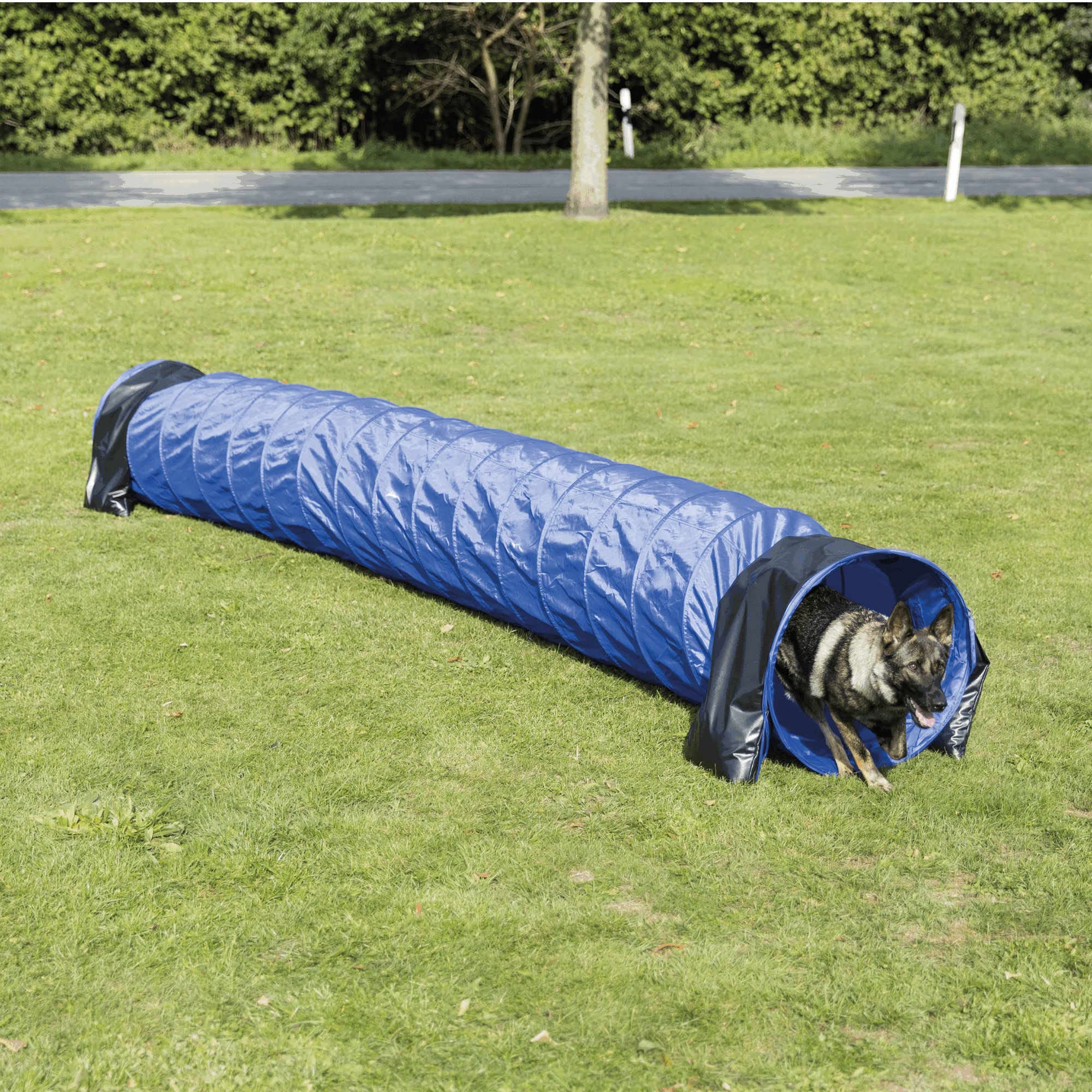 TRIXIE Dog Agility Tunnel - Portable 196.9" Long, 23.6" Diameter, Blue Polyester Training Equipment for Large Dogs, Model 3211