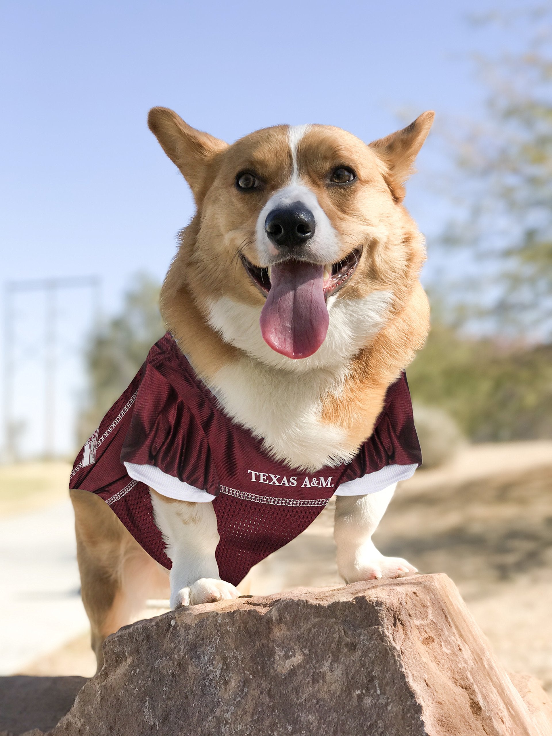 Pets First NCAA College TEXAS A&M Aggies Mesh Jersey for DOGS & CATS, Size Small, Licensed Dog Jersey with your Favorite Footbal