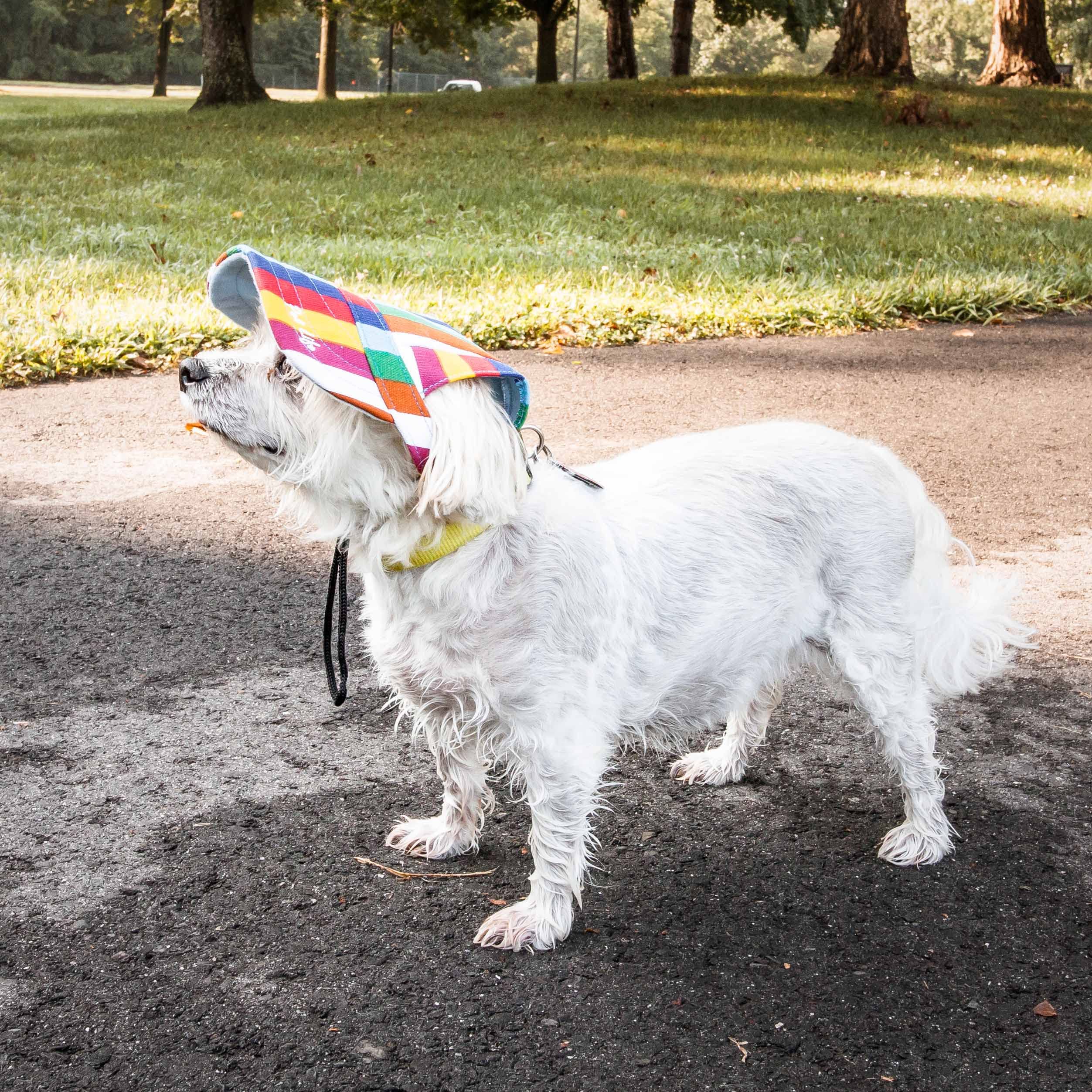 Pet Life ® 'Colorfur' Rainbow Patterned Dog Hat With Uv Coverage Protection - Provides More Shade Than A Dog Banadana - Features Ear Holes And Adjustable Jaw-Strings For Quick Slip-On Access