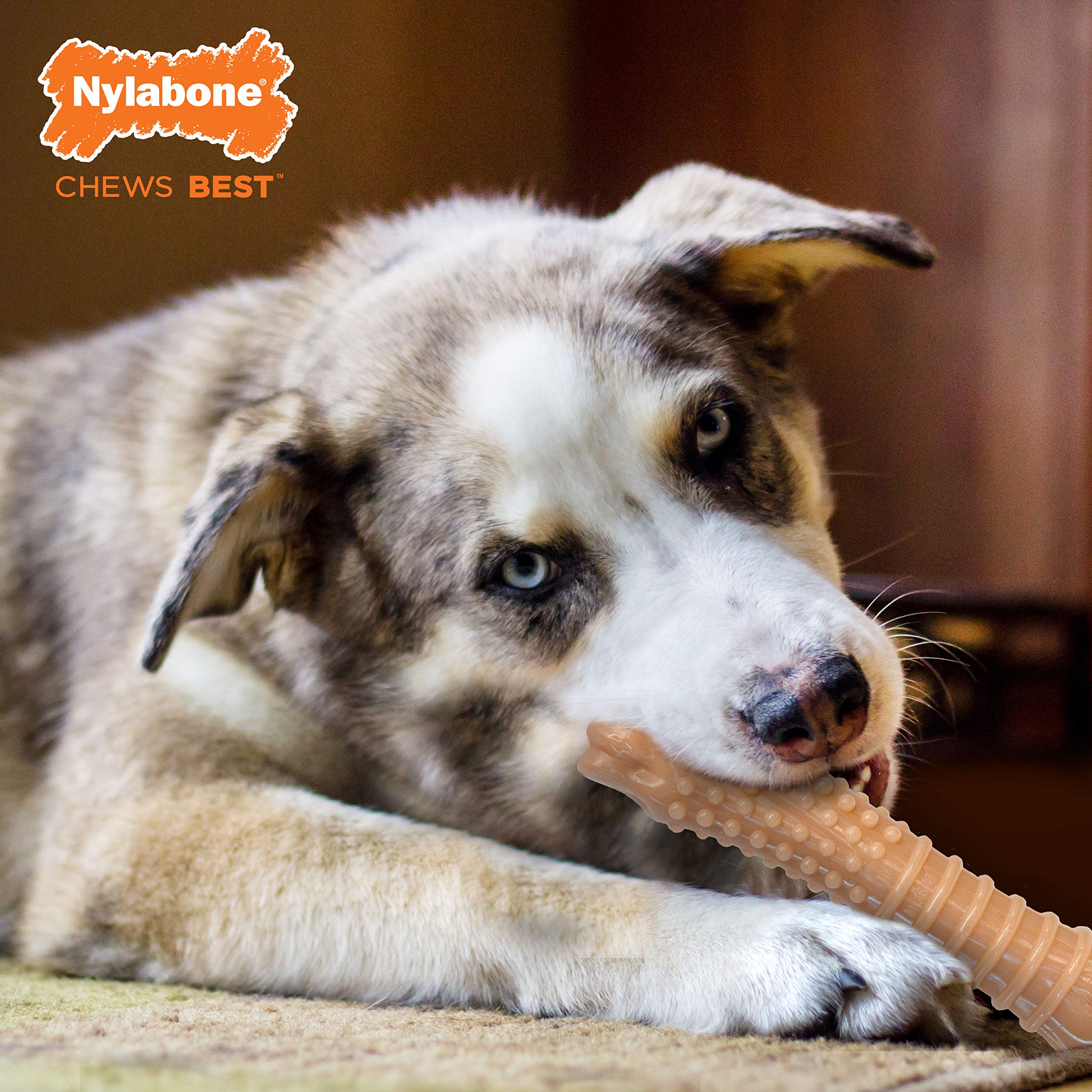 Nylabone Power Chew Dog Chew Toys For Aggressive Chewers Bundle Original And Bacon Flavors X-Large