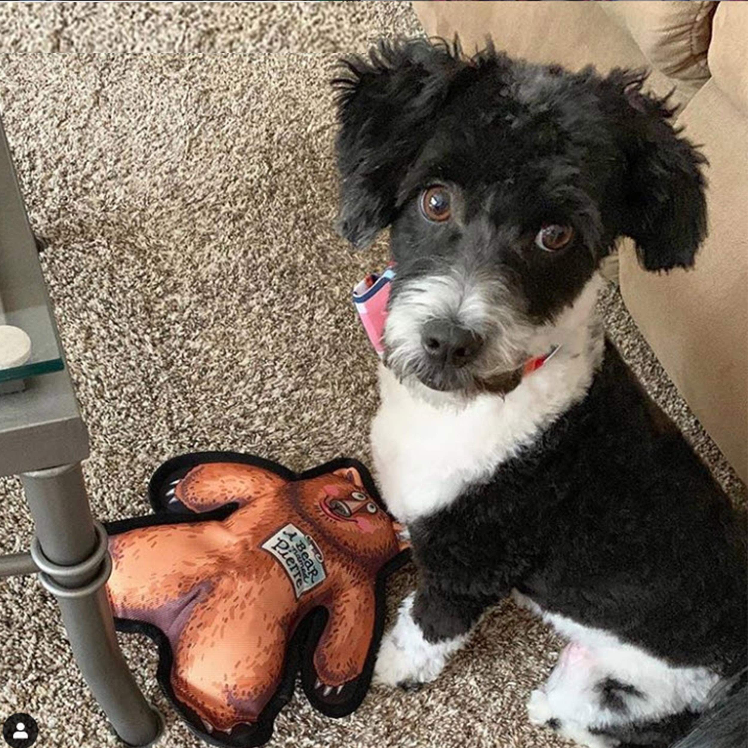 Fuzzu Wild Woodies Dog Chew Toy | A Bear Named Pierre Dog Toy | Durable Squeaky Dog Toy | Dog Chew Toy | Rugged Dog Toy | Medium | 9'
