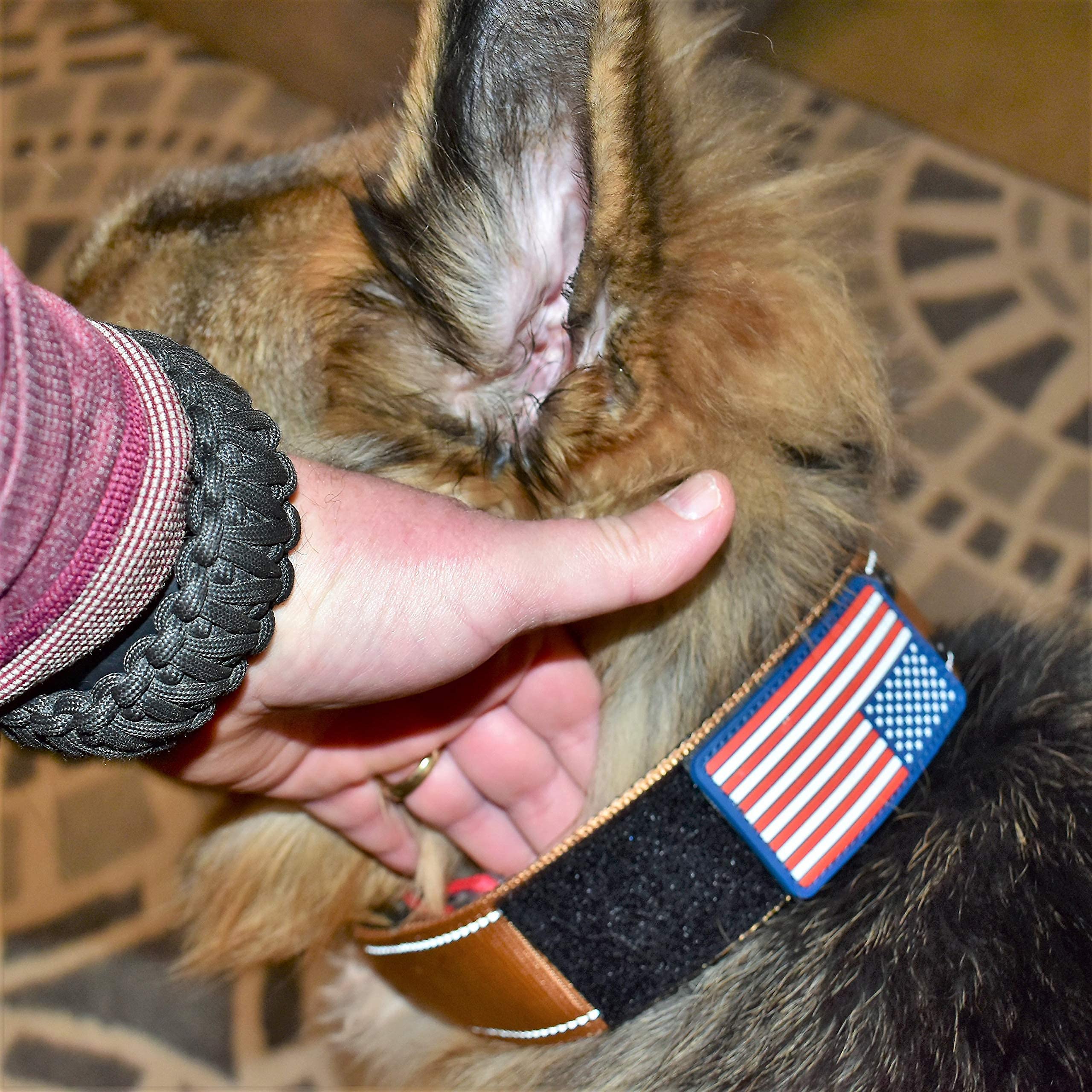 2 Personalized Tactical Dog Collar - Wide Thick Military Style with Strong Belt Buckle Closure - American Flag Patch - Reflectiv