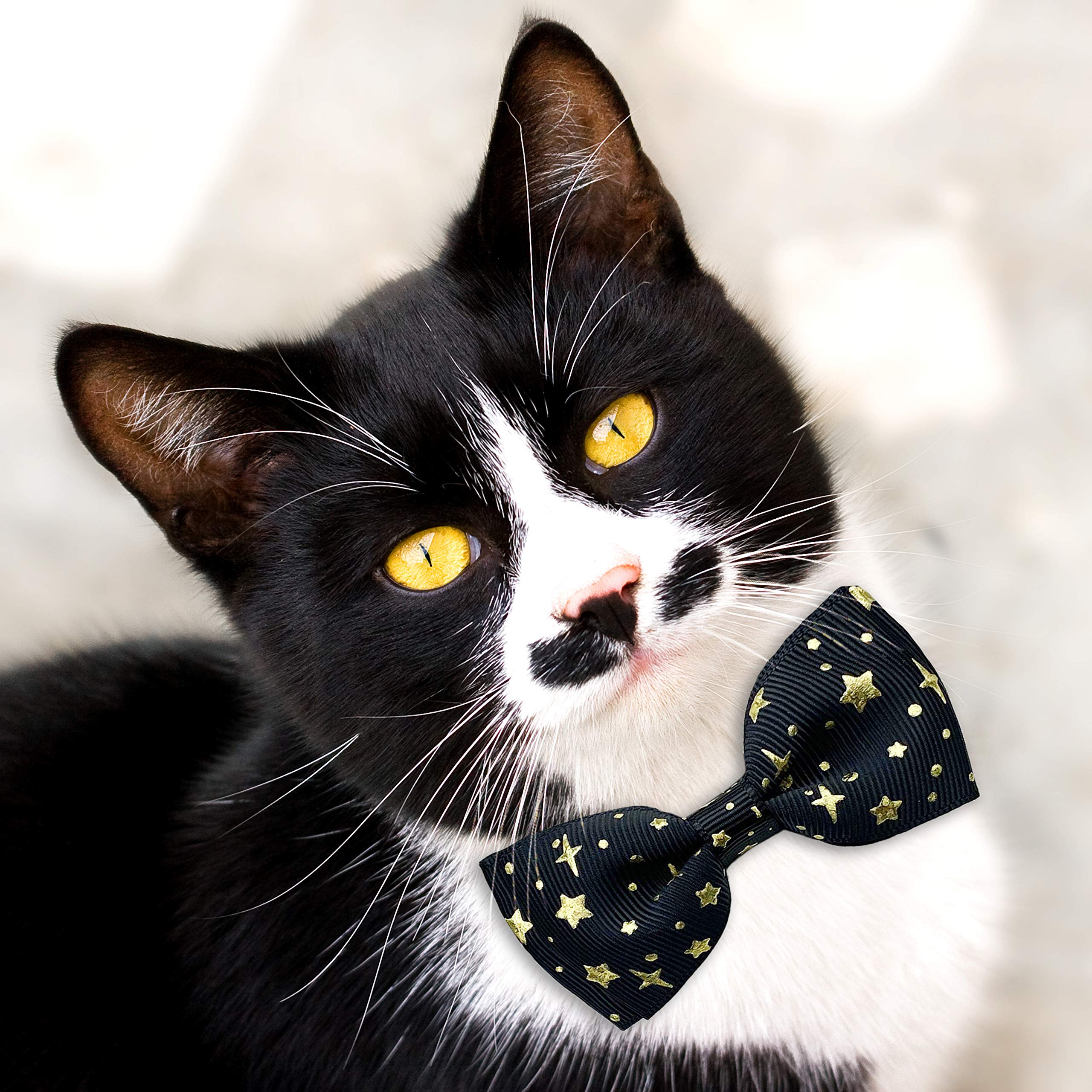 2 Pack Cat Collar With Bow Tie And Bell, Kitty Kitten Starshine Collar Breakaway Collar For Males Females Boys And Girls Cats (Pink+Black)