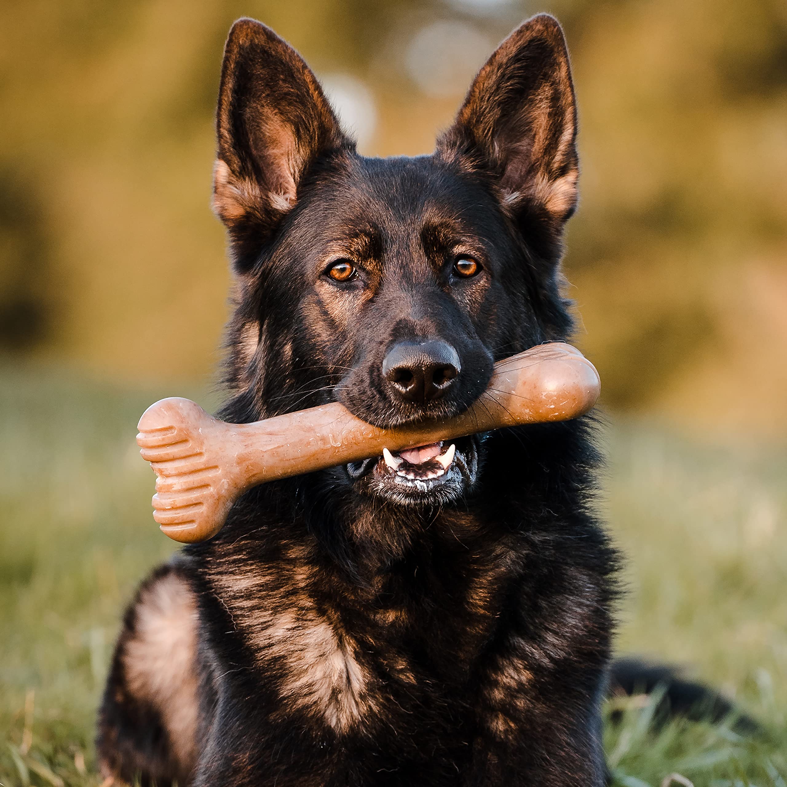 Lumabone Bulkster Durable Chew Toy for Aggressive Chewers, Real Beef, Made in USA, Giant
