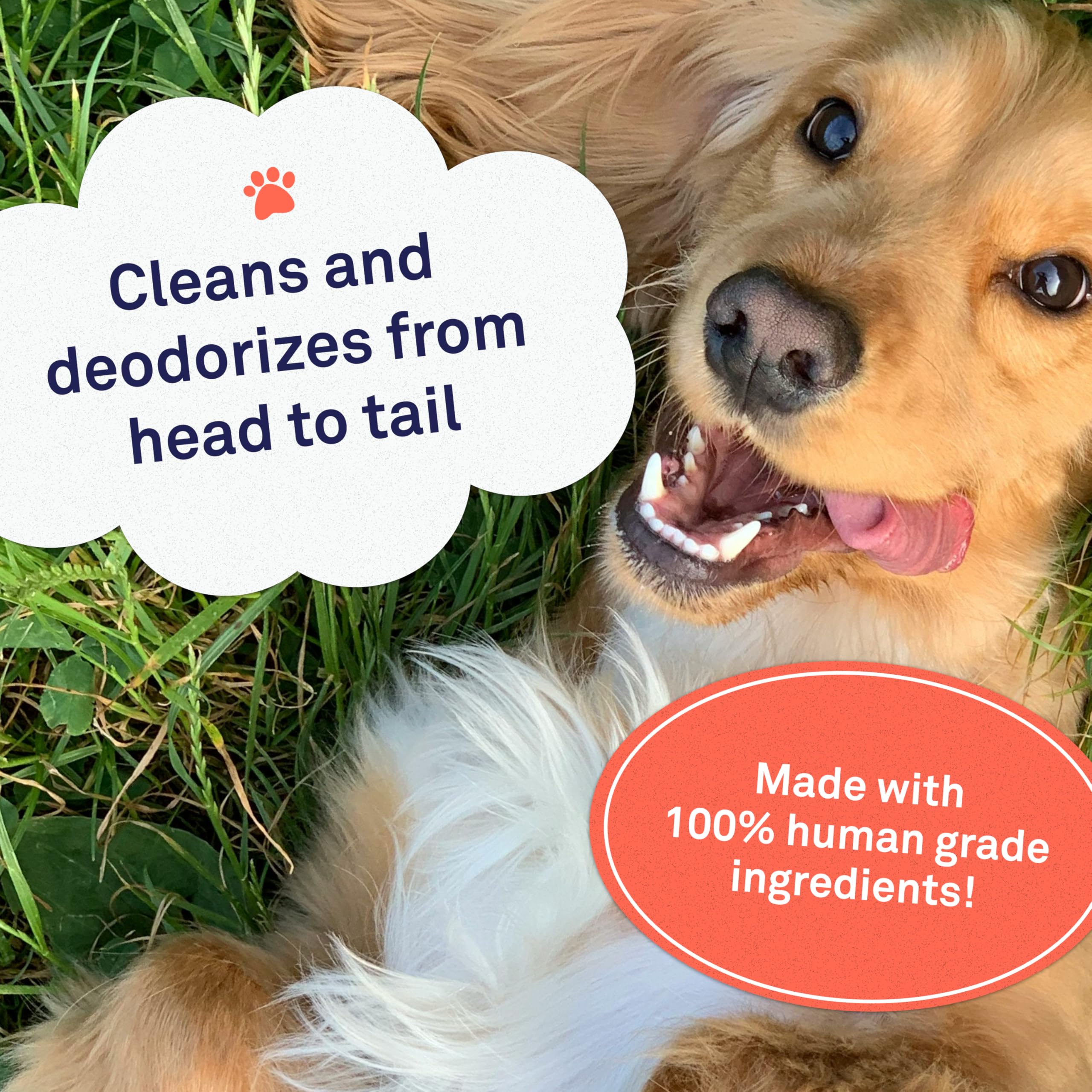 Petpost | Grooming Wipes For Dogs - Large, Deodorizing Wipes With Cherry Blossom Scent - 70 Ultra Soft Cotton Pads In Cleansing Solution - Cherry Blossom Scent 70 Ct.