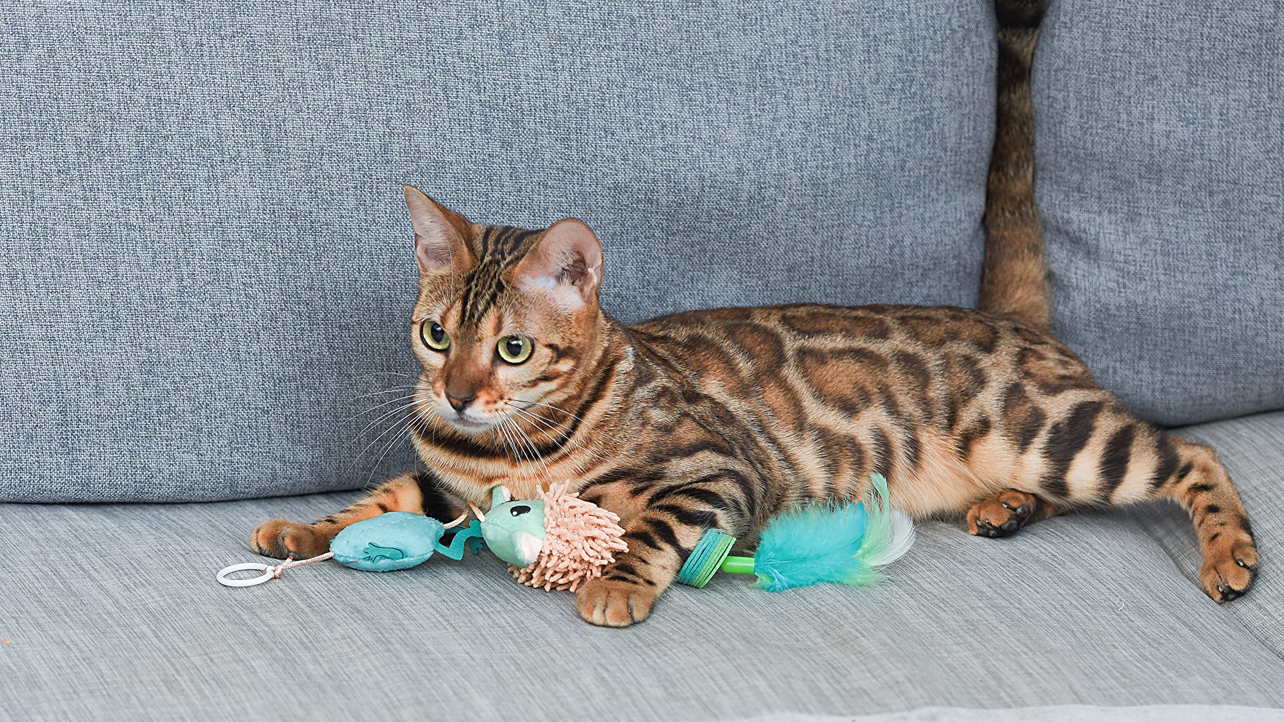 STAR WARS Grogu Cat Toy Teaser - Plush, Feathers & Pom Poms, 5 Inch - Interactive Bouncy Exercise Toy for Cats, 3 Pack