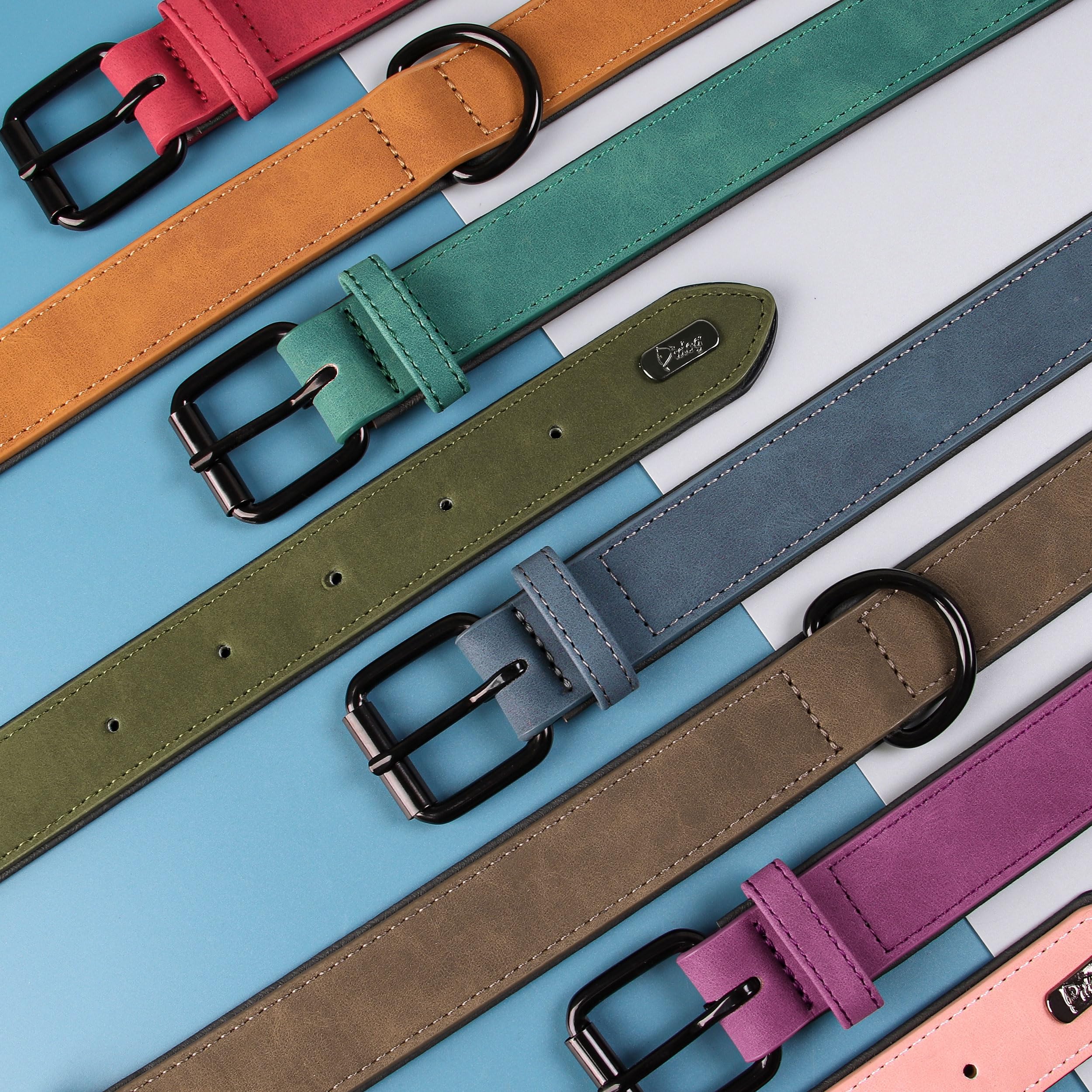 Didog Soft Padded Leather Dog Collar, Breathable Heavy Duty Dog Collar Leather With Adjustable Rust-Proof Metal Buckle For Small