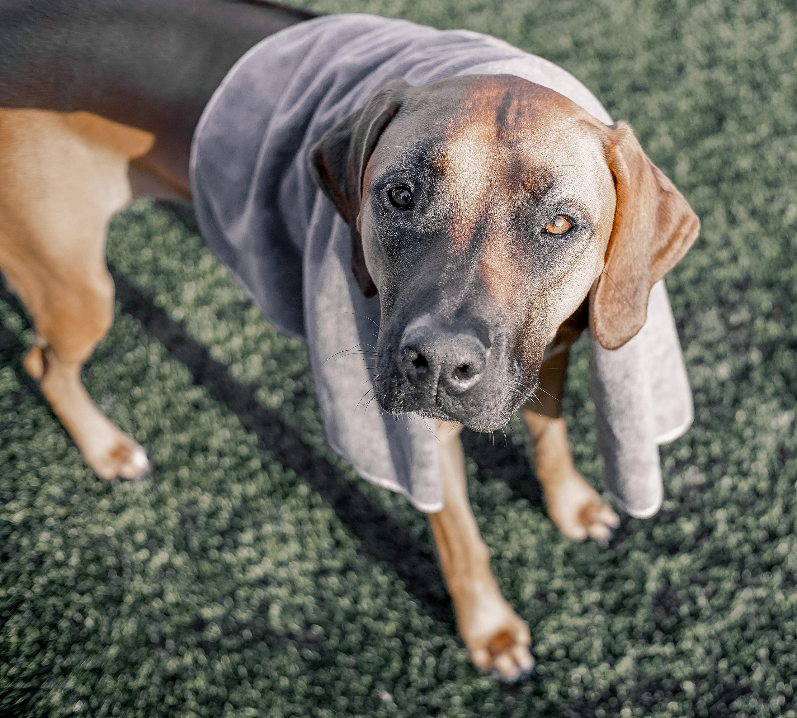 Wooflinen Microfiber Pet Bath Towel, 2-Pack, Ultra-Absorbent, Double Density, Machine Washable For Dogs And Cats