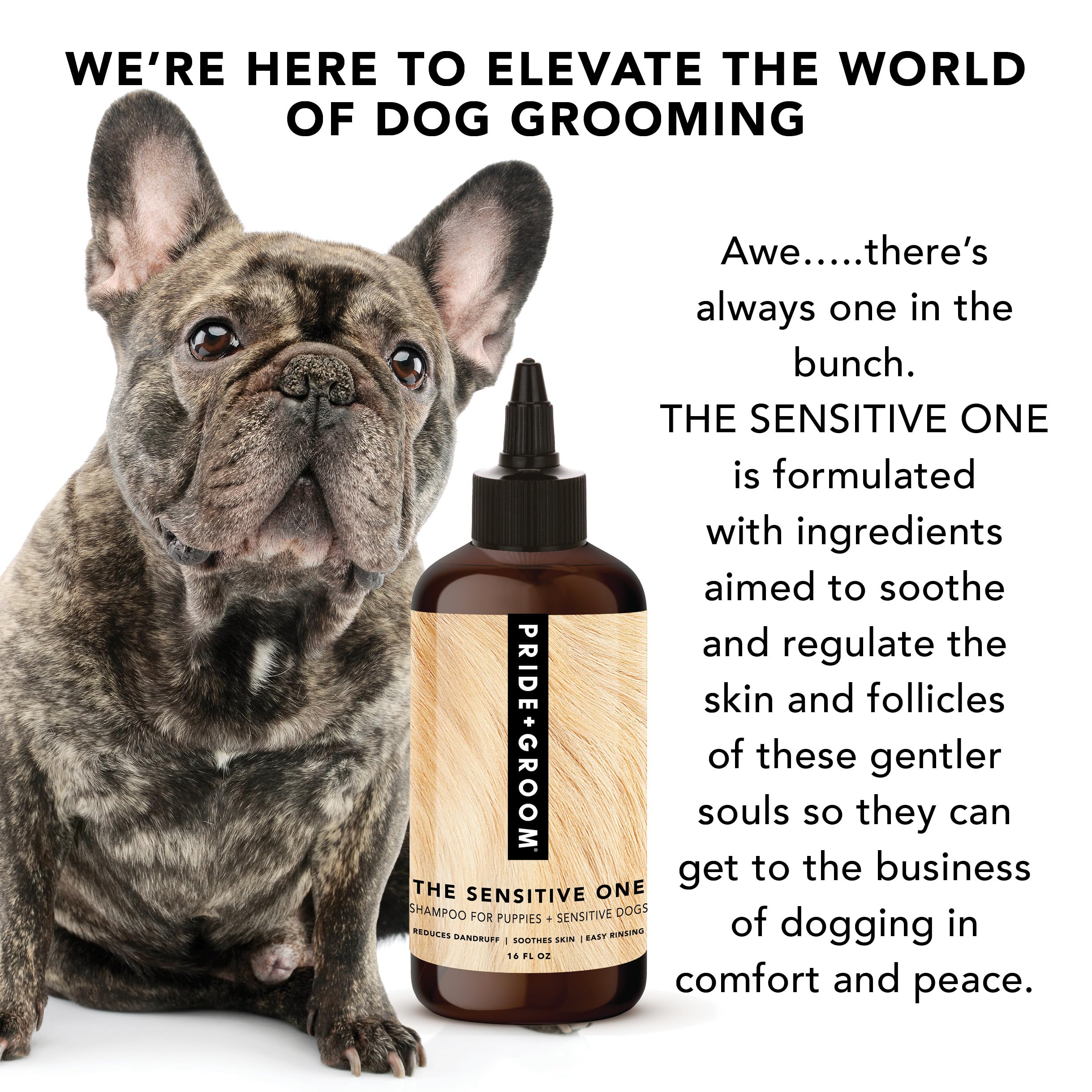 Pride and Groom The Sensitive One | Dog Grooming Shampoo for Puppies and Dogs with Itchy, Dry Skin| Tearless All Natural Body Wa