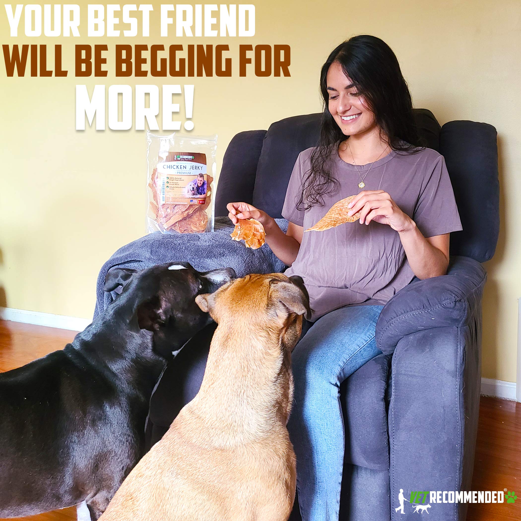 Vet Recommended Premium Chicken Jerky for Dogs - Giant 8oz Bag | All Natural Dog Treats - Single Ingredient - No Fillers or Pres