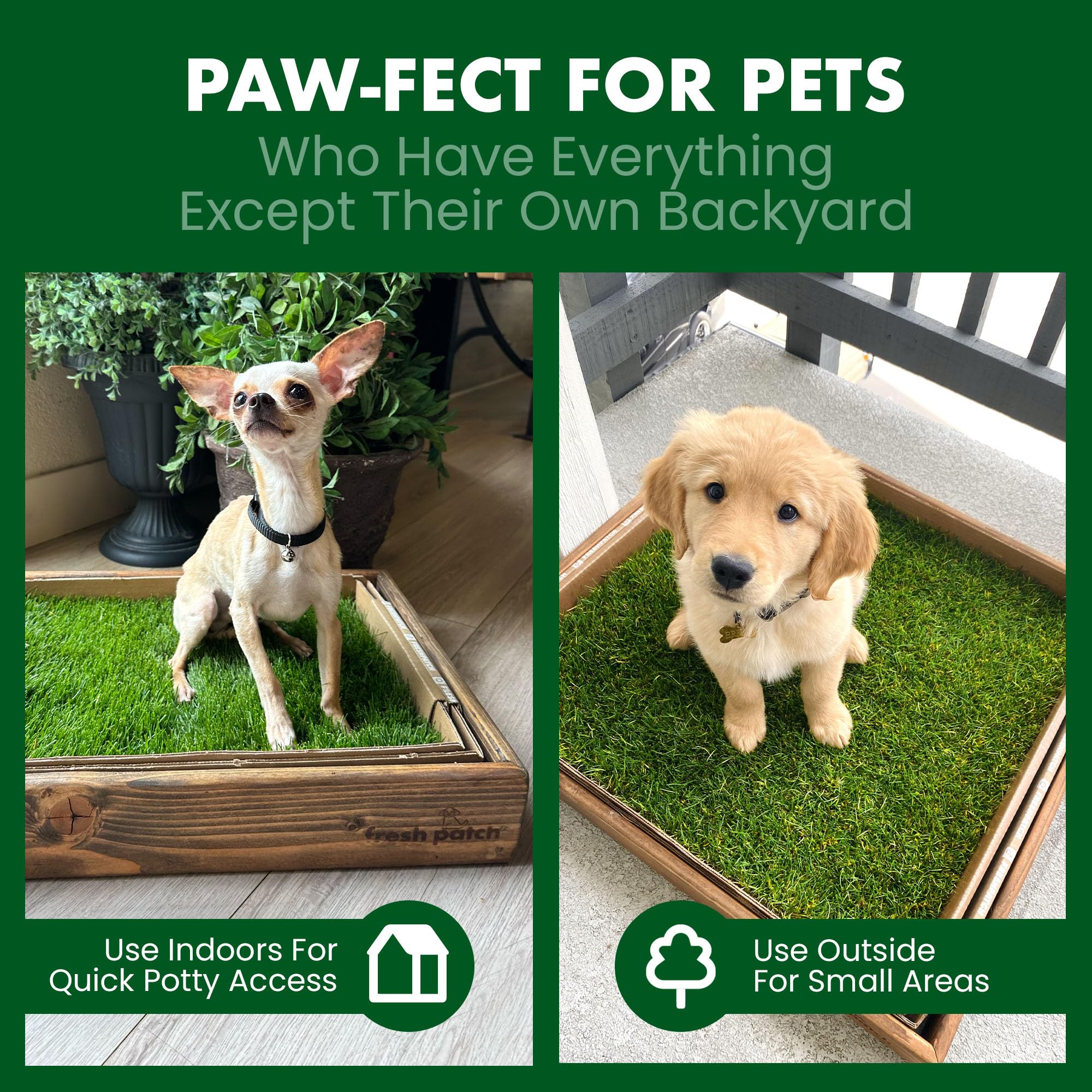 Fresh Patch Real Grass Patch For Dogs, Cats, And Large Pets 15-30 Pounds - Disposable Pet Grass Pee Pads - Indoor And Outdoor Po