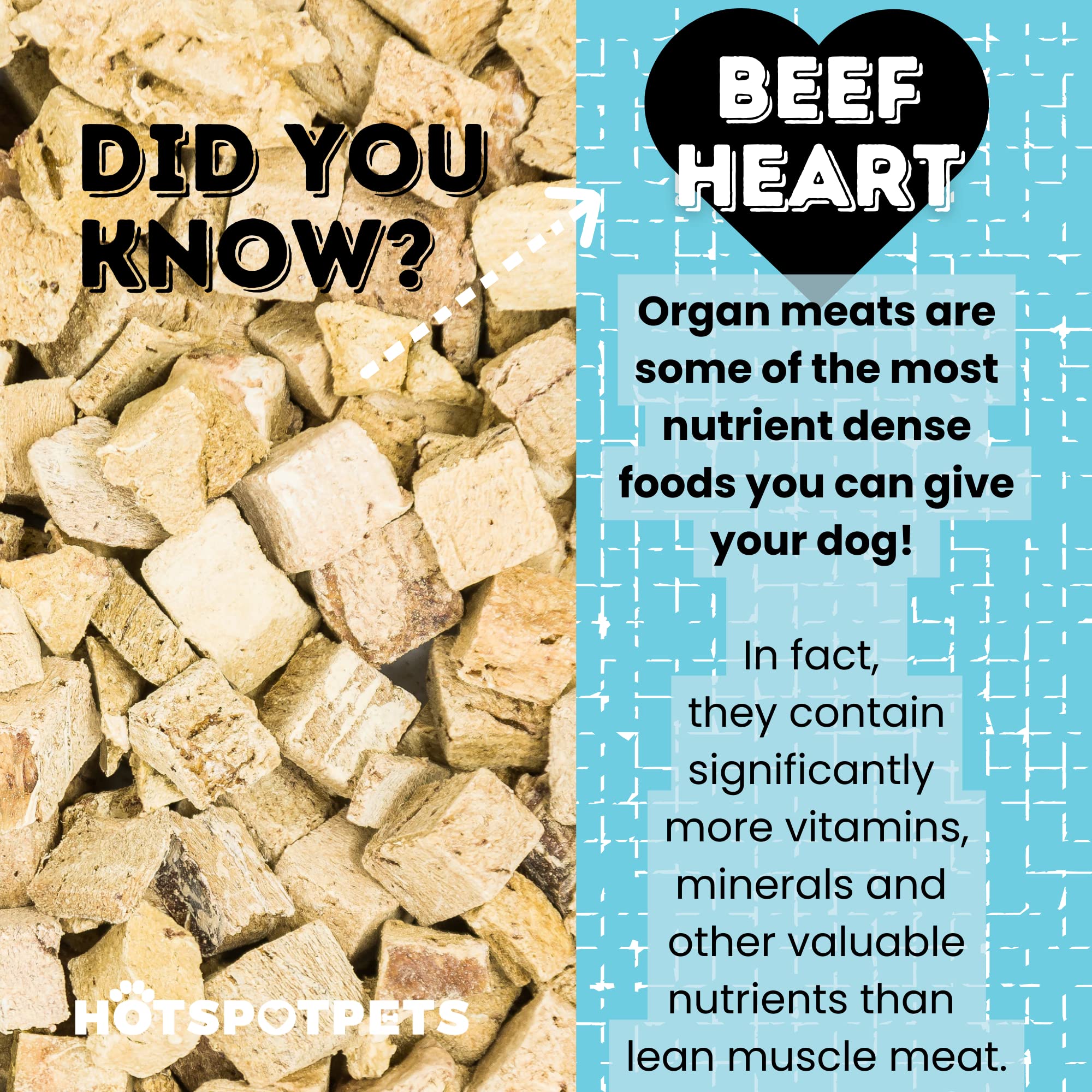 hotspot pets Freeze Dried Duck Heart Treats for Cats & Dogs - 1LB Big Bag - Single Ingredient All Natural Grain-Free Duck Hearts