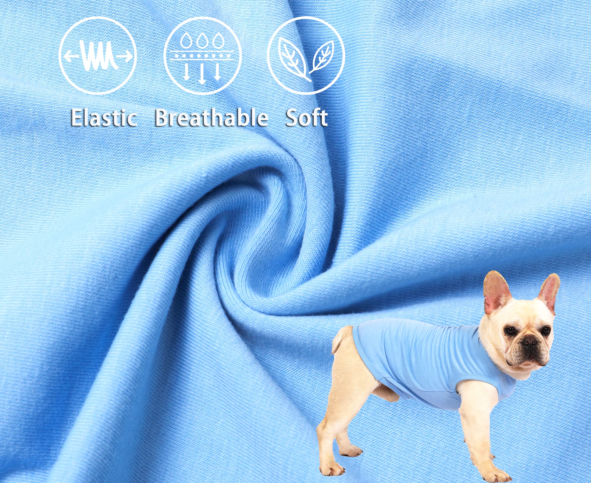 Sychien Dog Blank Blue Shirt,Boy Girl Dogs Large Tee Shirts,Plain French Bulldog T-Shirt,L Blue Royal