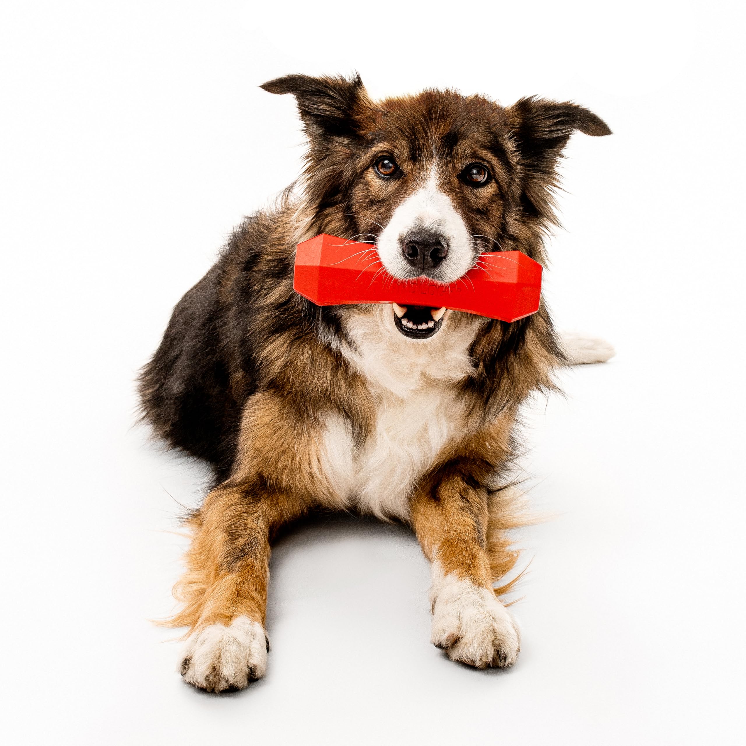Playology Squeaky Chew Stick Dog Toy For Large To X-Large Dogs 50 Lbs & Up | Engaging All-Natural Beef Scented Chew Toy For Toug