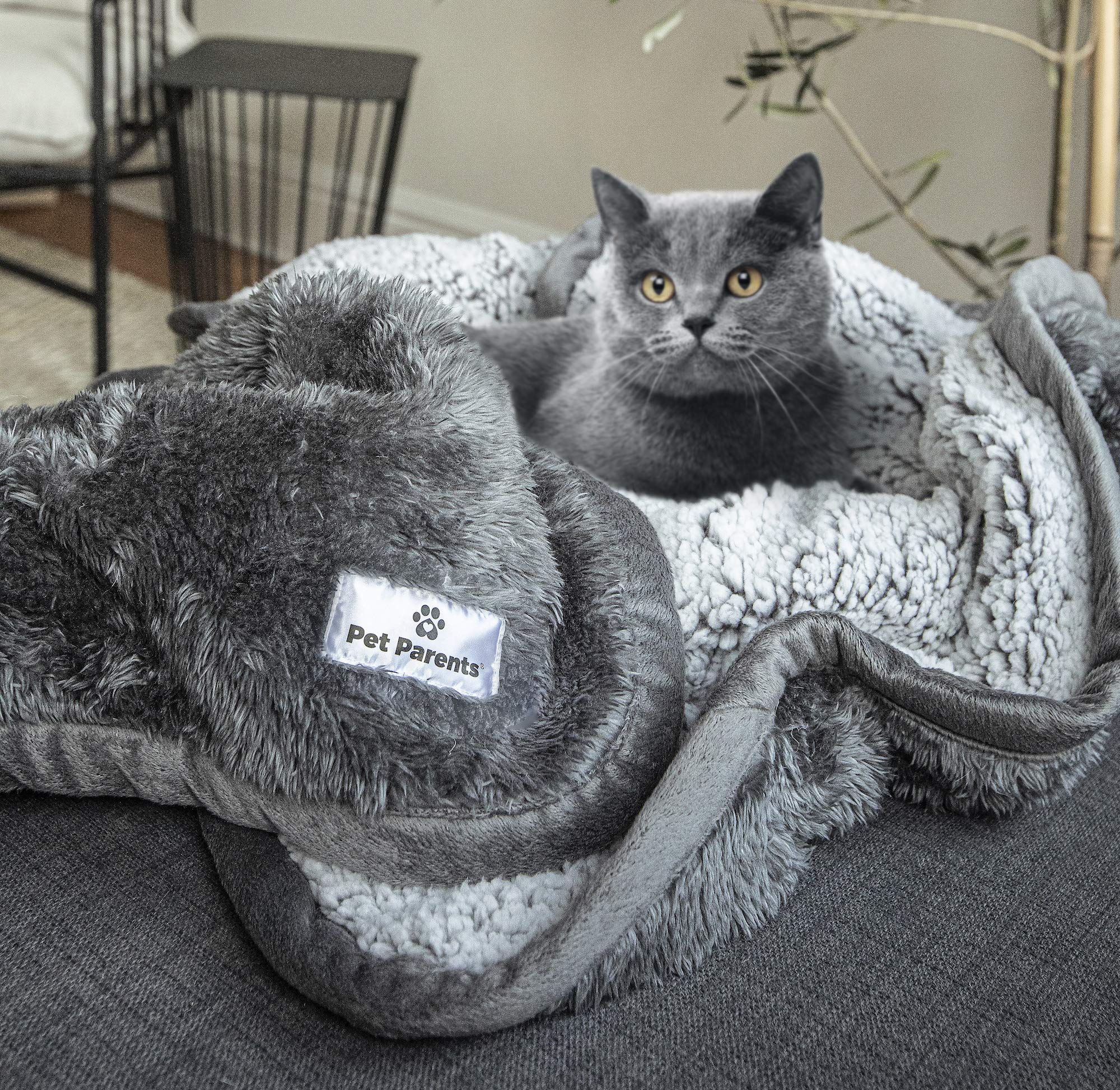 Pet Parents Pawtect Blanket, Premium Waterproof Cat & Dog Blanket With Wickquick & Sherpup Technology, Puppy Blanket, Waterproof Dog Blanket, Blankets For Dogs, Cat Blanket Slate 24X32