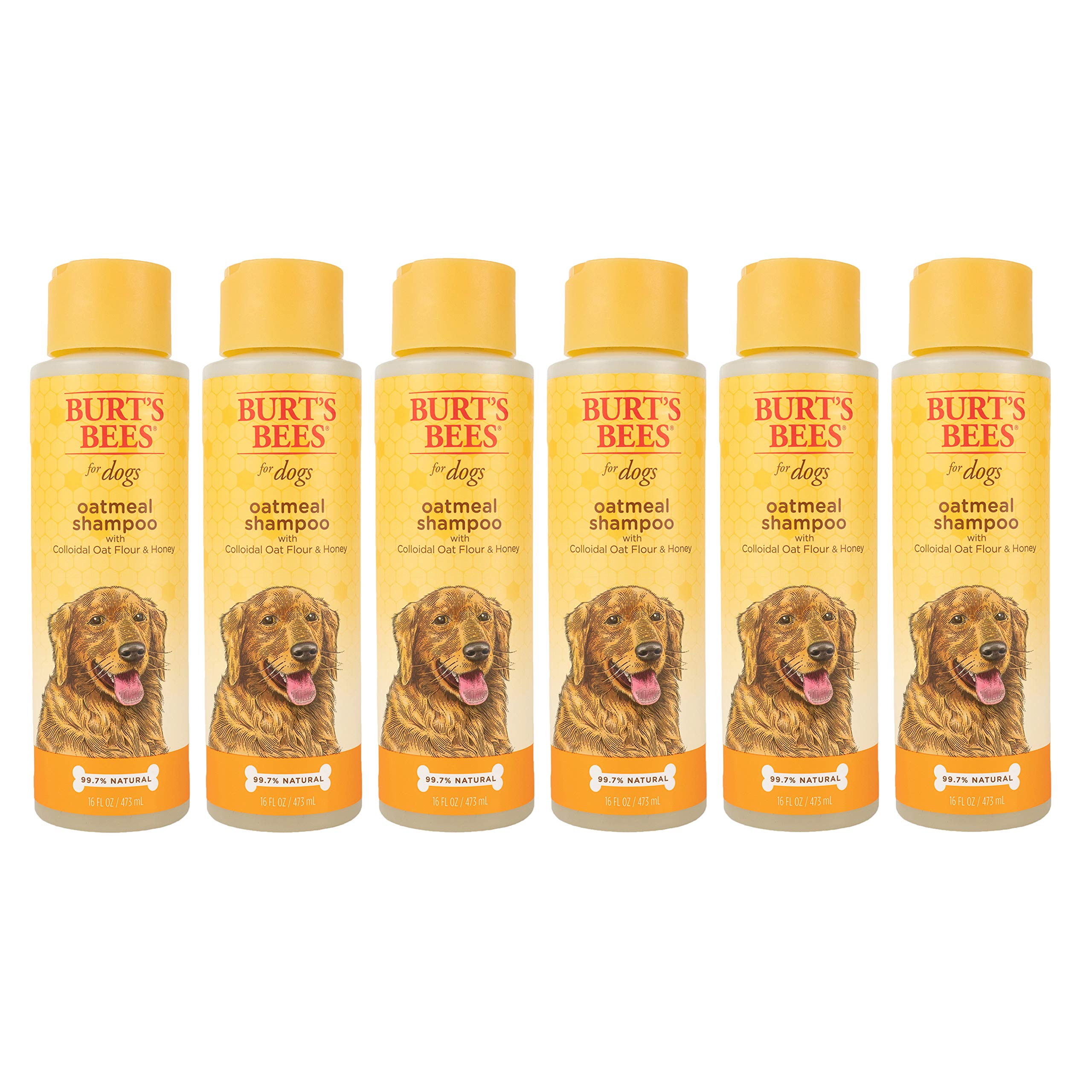 Burt's Bees for Dogs Natural Oatmeal Dog Shampoo | With Colloidal Oat Flour & Honey | Cruelty Free, Sulfate & Paraben Free, pH B