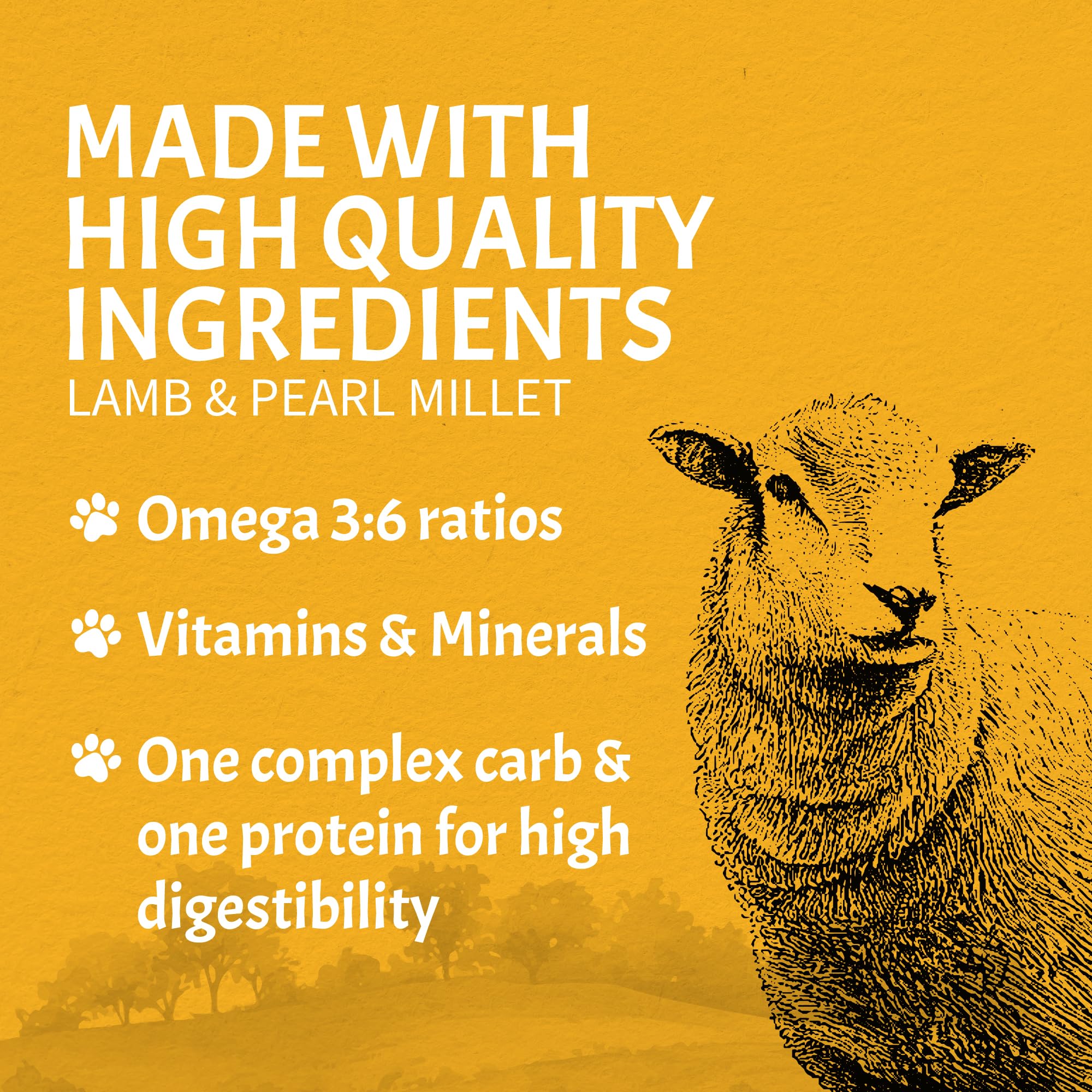 Canine Caviar - Open Meadow: Lamb & Pearl Millet Alkaline Dry Dog Food, Limited Ingredients, Gluten-Free, Based on Science & Res