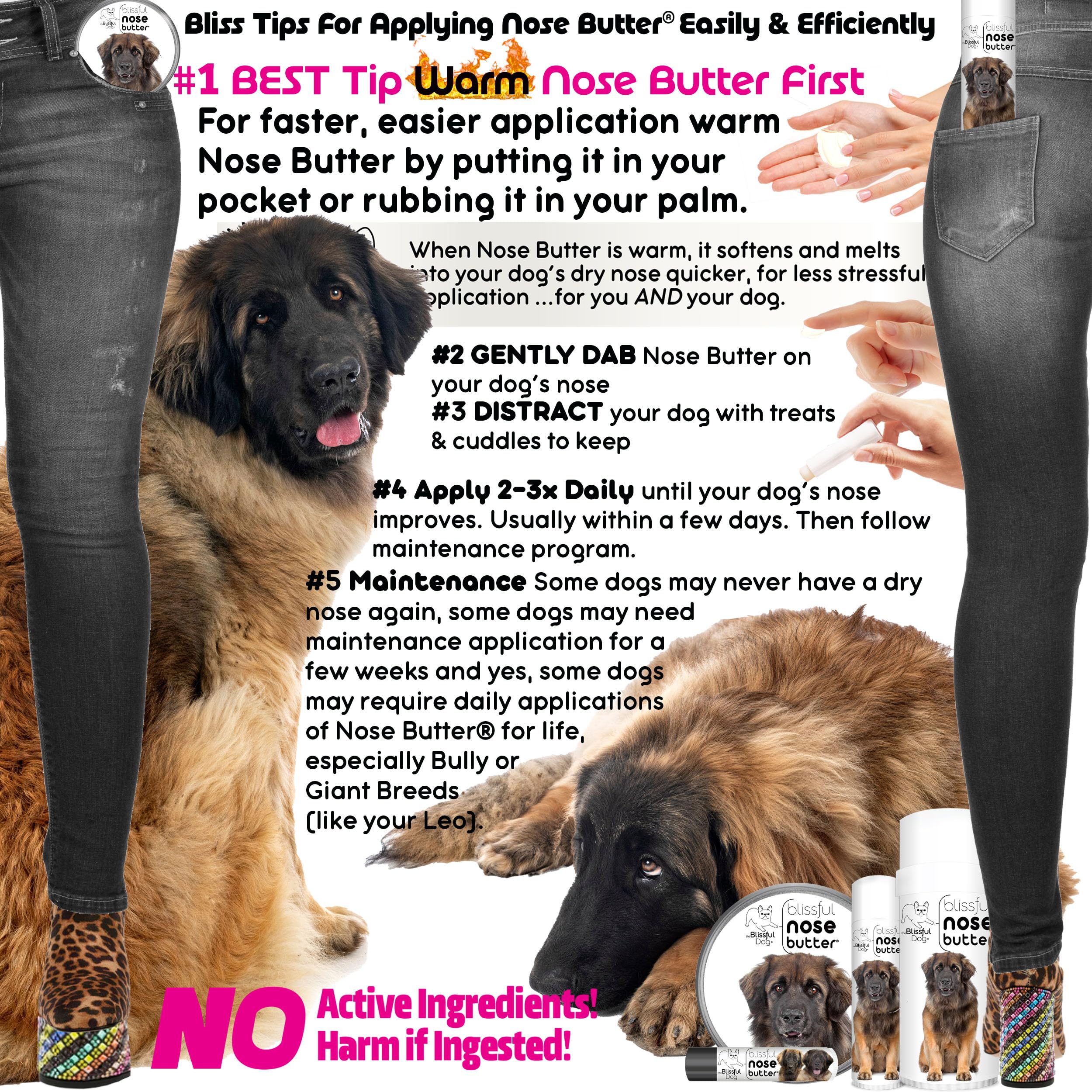 The Blissful Dog Leonberger Unscented Nose Butter - Dog Nose Butter, 4 Ounce