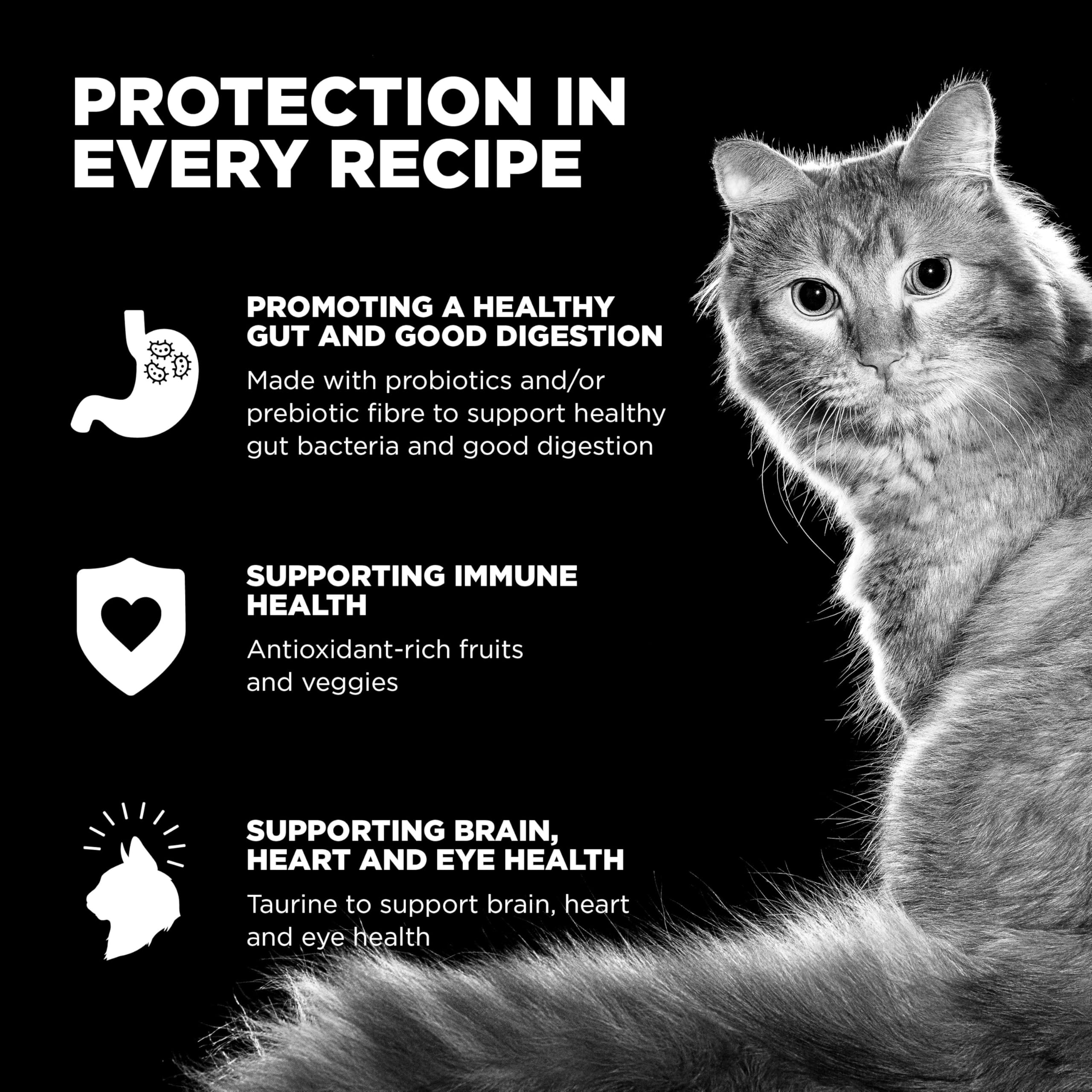 Go! Solutions Carnivore, Grain-Free, Protein Rich Dry Cat Food, Chicken, Turkey and Duck Recipe, 3 lb Bag