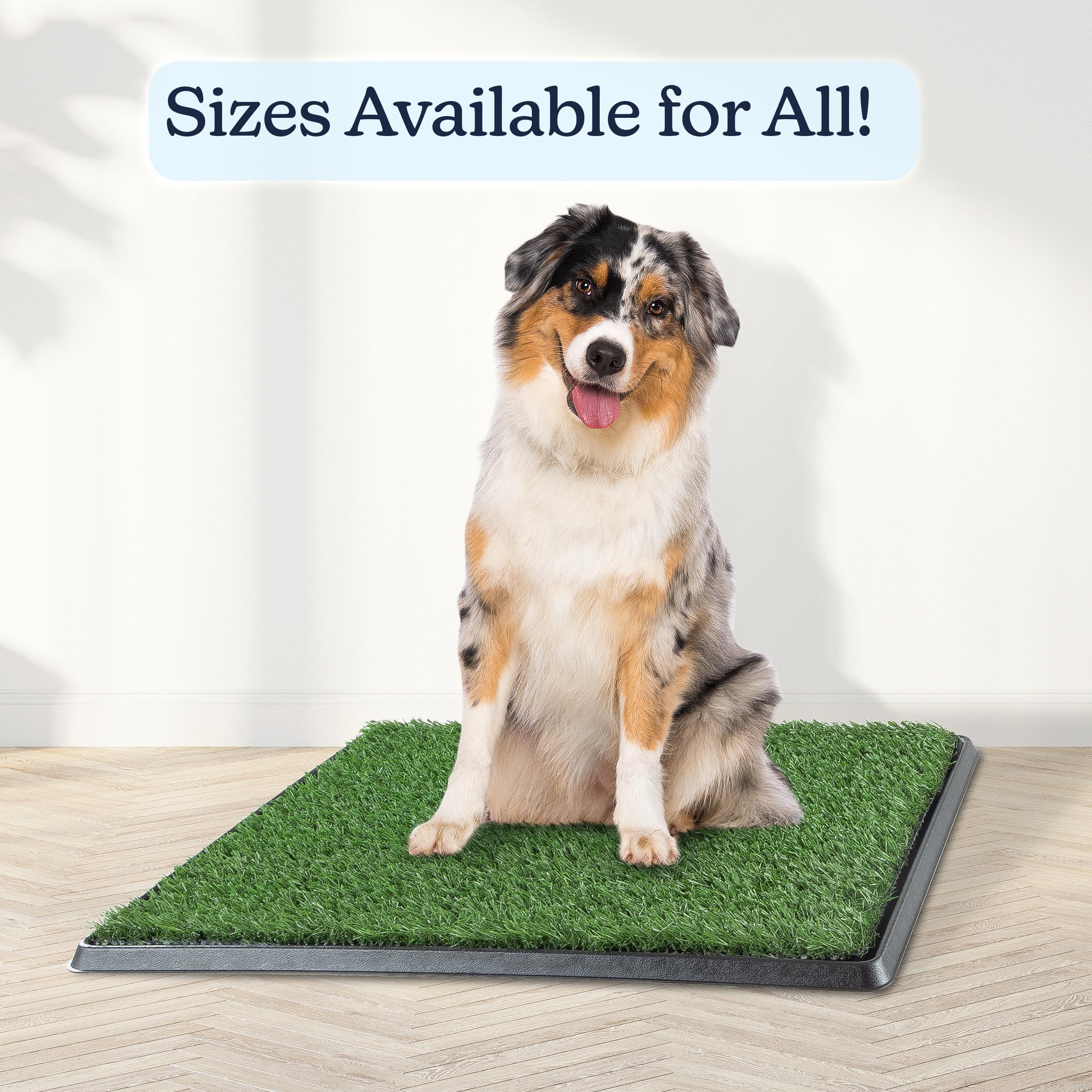 Artificial Grass Puppy Pee Pad For Dogs And Small Pets - 20X25 Reusable 3-Layer Training Potty Pad With Tray - Dog Housebreaking
