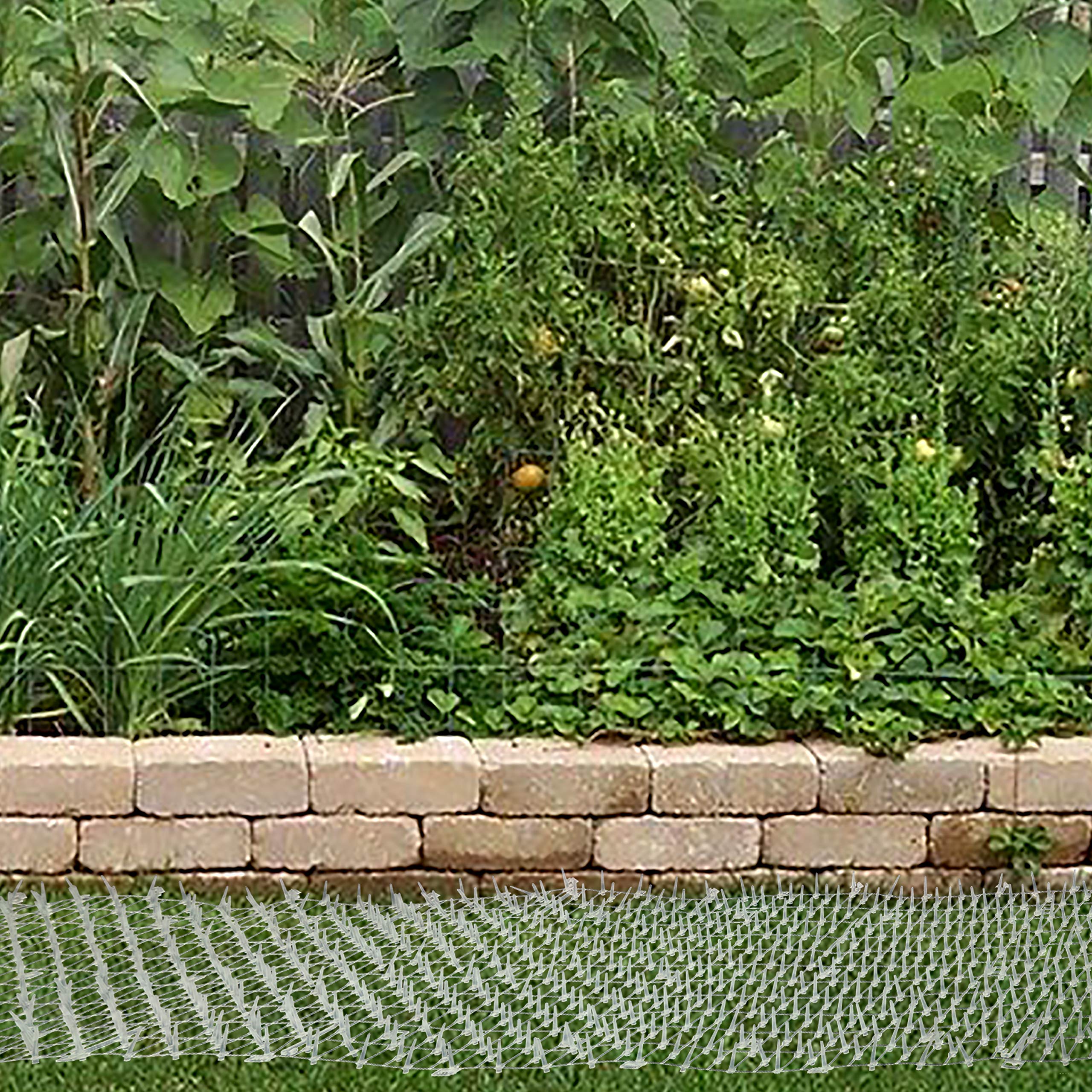 Tapix Cat Scat Mat Clear (8 ft x 12 in) - Anti-Cat Network with Spikes, Digging Stopper, Indoor/Outdoor Cat Deterrent