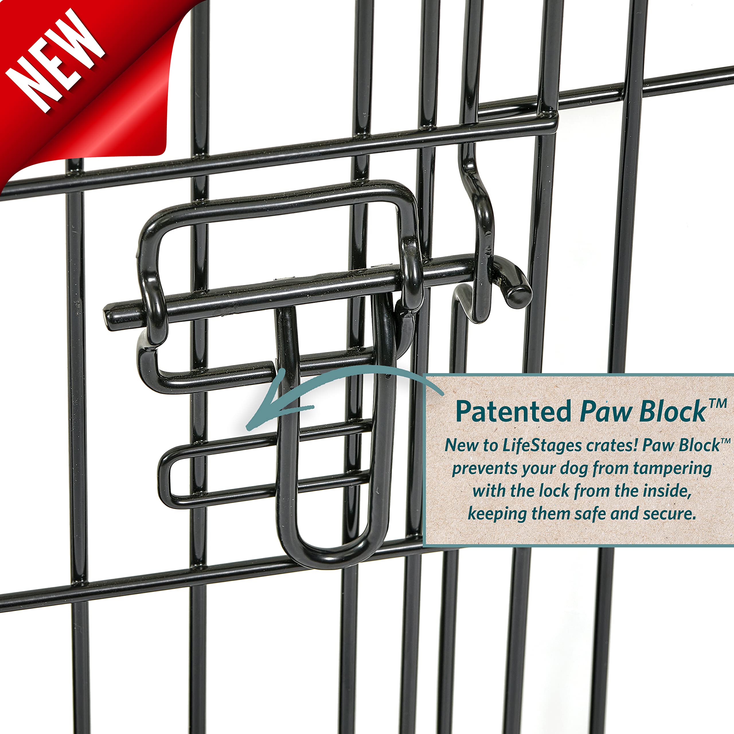 Midwest Homes For Pets Small Dog Crate | Life Stages 24' Folding Metal Crate | Divider Panel, Floor Protecting Feet, Leak-Proof Dog Pan | 24L X 18W X 19H Inches, Small Dog Breed