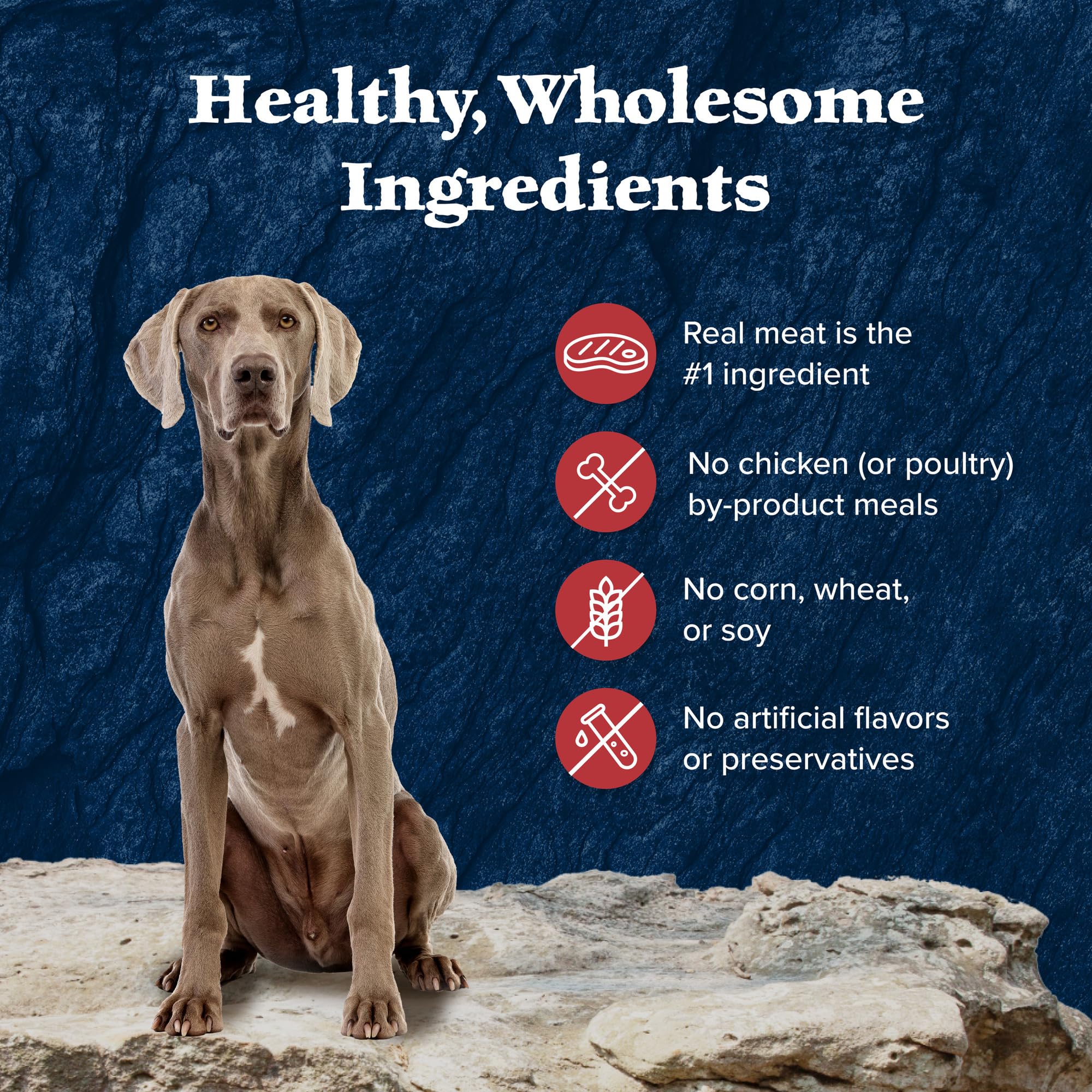 Blue Buffalo Wilderness Rocky Mountain Recipe Senior Wet Dog Food, High-Protein & Grain-Free, Made with Natural Ingredients, Red