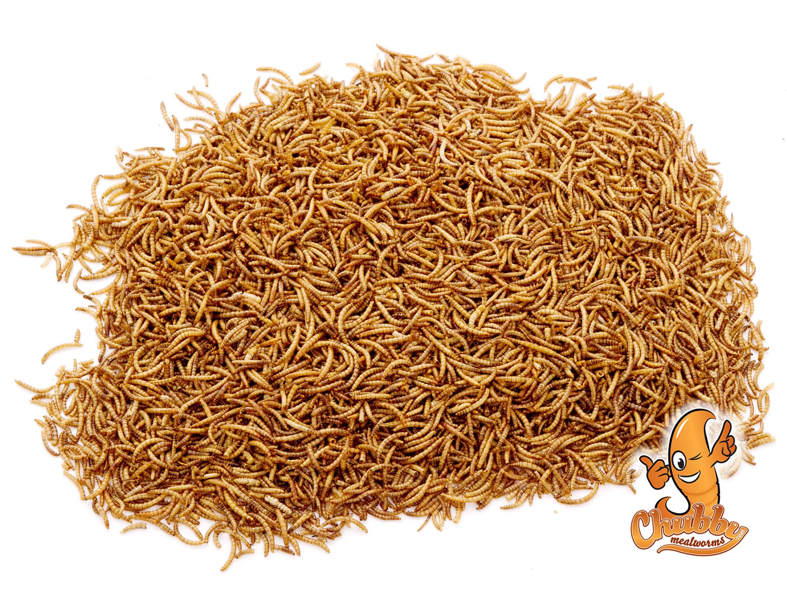 Chubby Dried Mealworms | 2  lbs | High-Protein Non-GMO Treats for Chickens, Ducks, Wild Birds & Backyard Pets