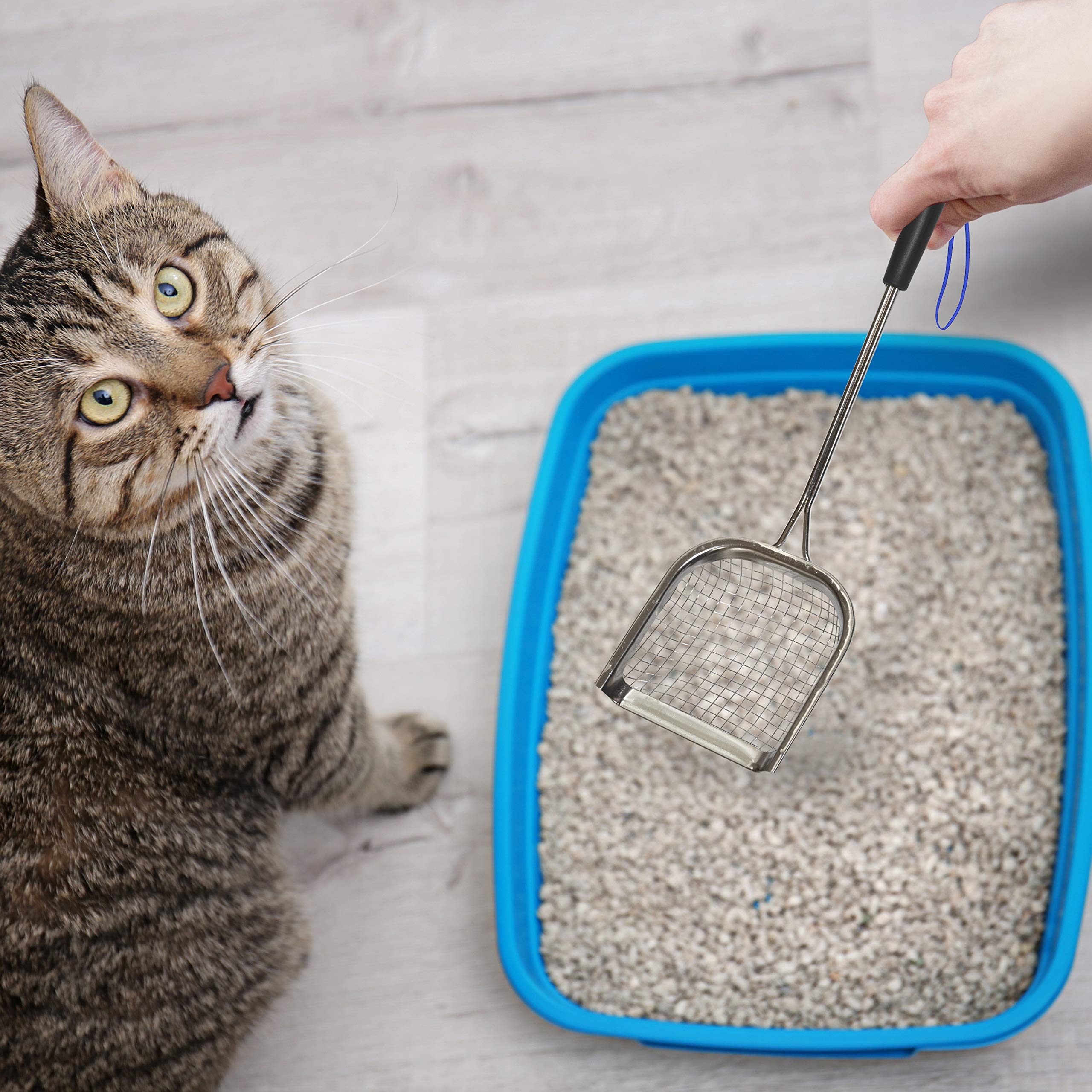 Sand Dipper Square Cat Scoop - Stainless Steel Long Cat Litter Scoop (Scoop)