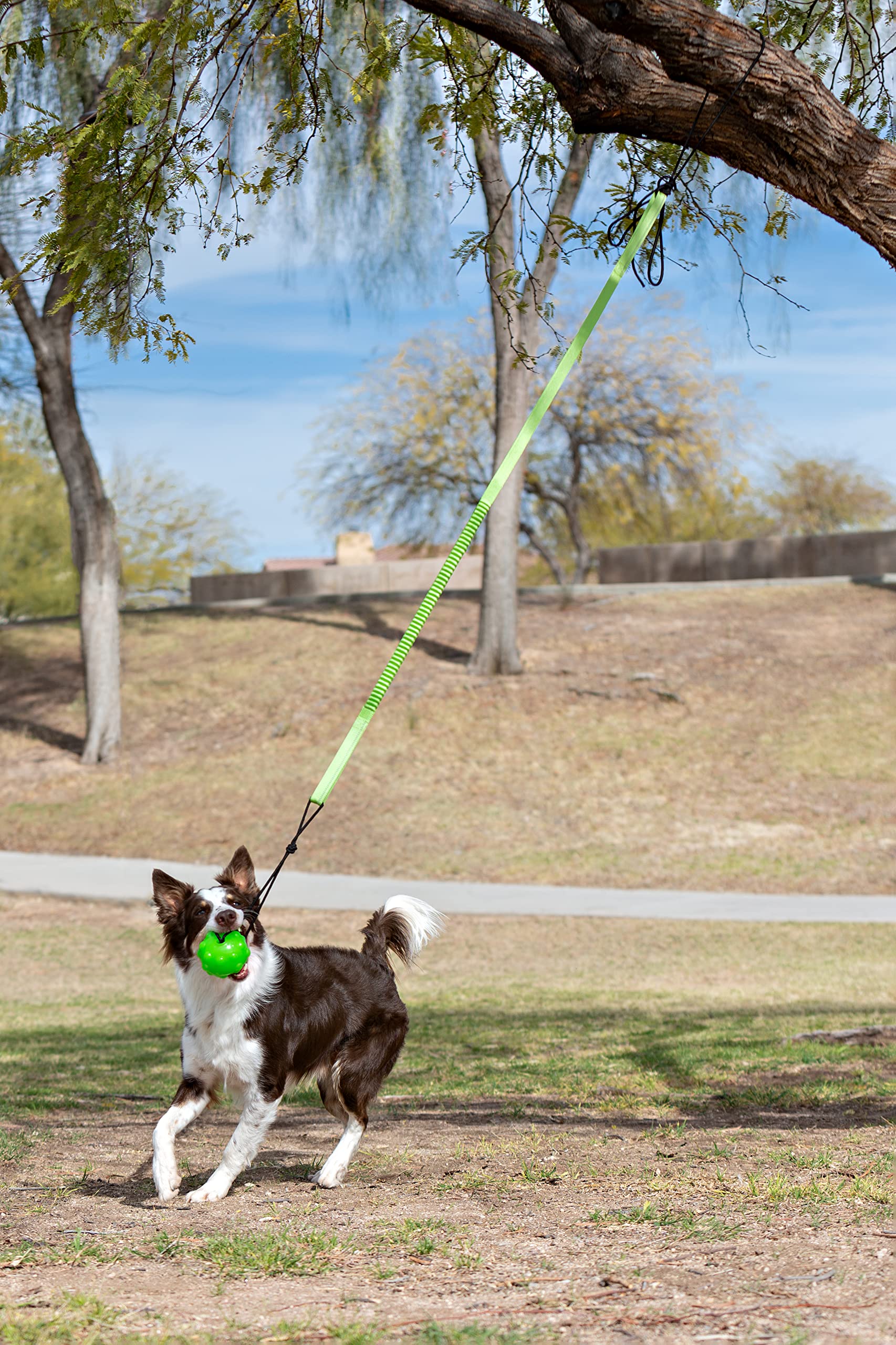 Jolly Pets Tree Tugger Dog Toy, Nylon, Green, Model JP071, Durable Tugging Fun