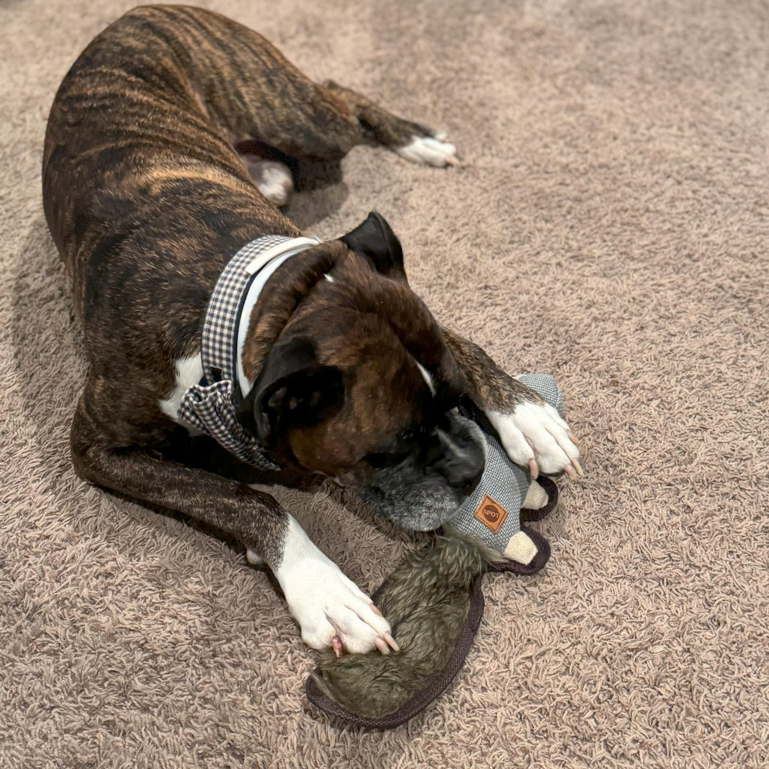 Spot Dura-Fused Hemp Friends - Dog Toy Made With Hemp Material, Fused With Tricot For Durablity, With Furry Plush Tail And Squeaker, Great For Light To Moderate Chewers - 18' Assorted Styles, 1 Piece