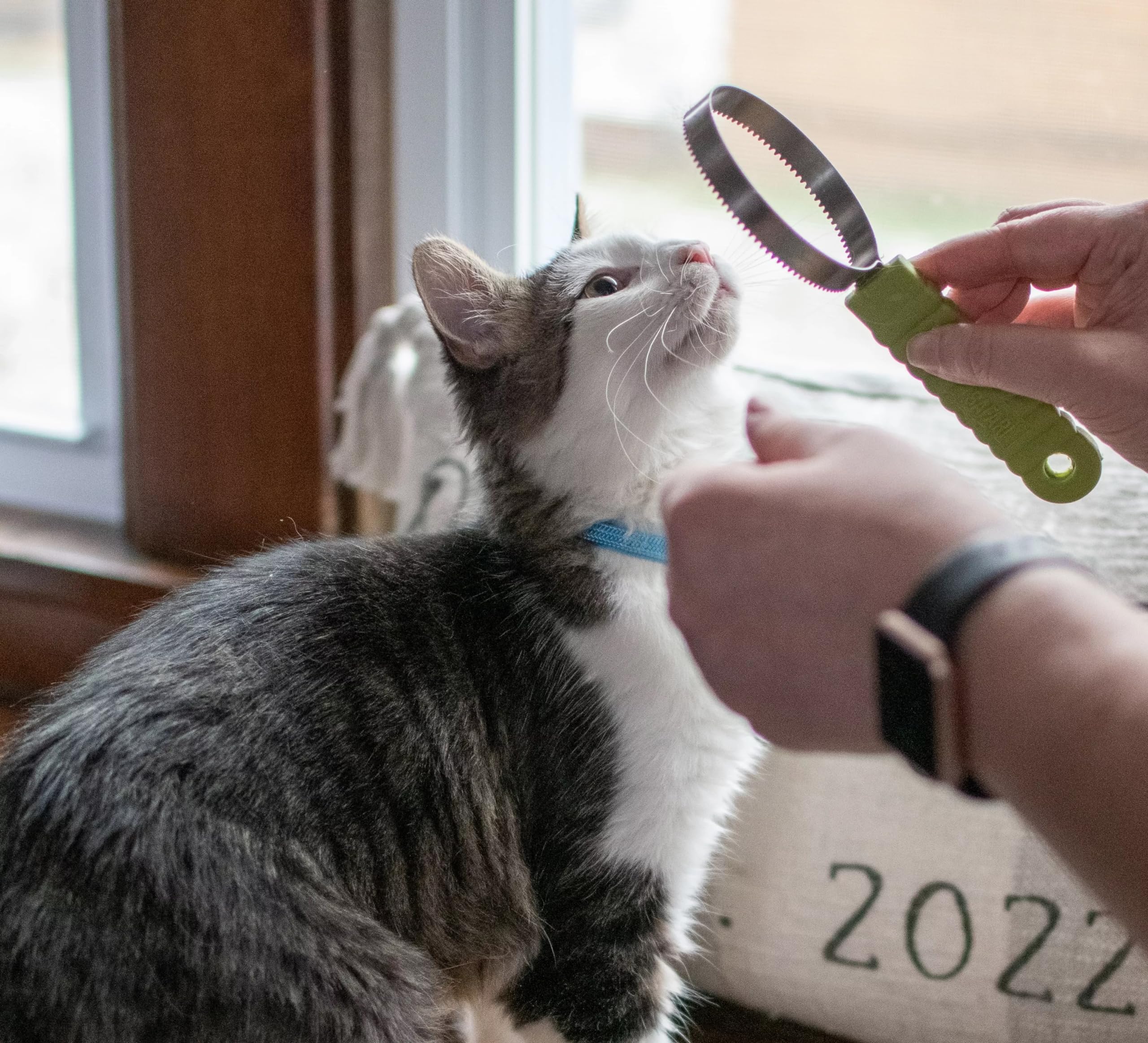 Coastal Pet Stainless Steel Safari Cat Shedding Blade - Cat Hair Removal Brush - Pet Grooming Tool To Prevent Hairballs - 7.5' X 3'