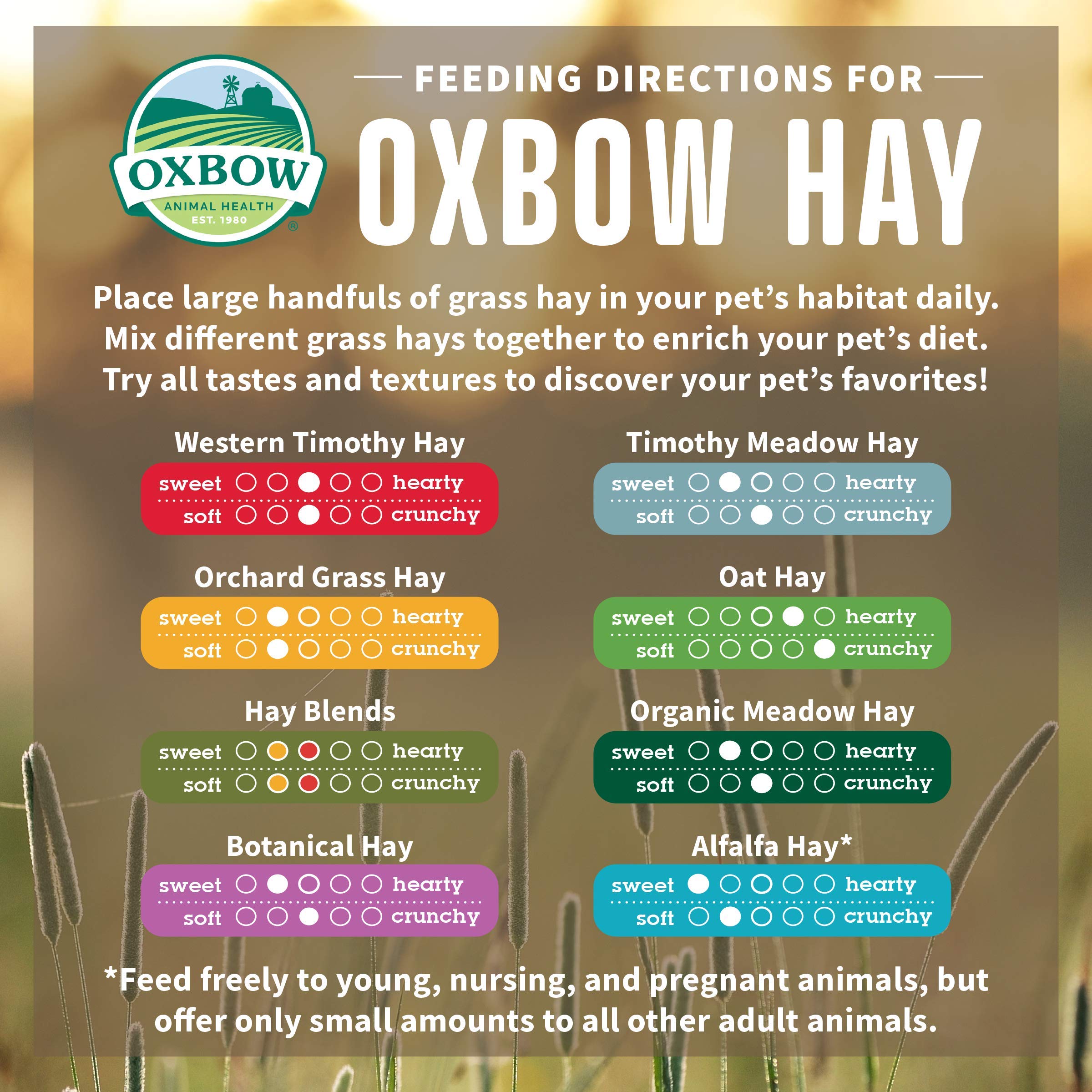 Oxbow Animal Health Meadow Hay - All Natural Hay For Rabbits, Guinea Pigs, Chinchillas, Hamsters & Gerbils - 40 Oz.