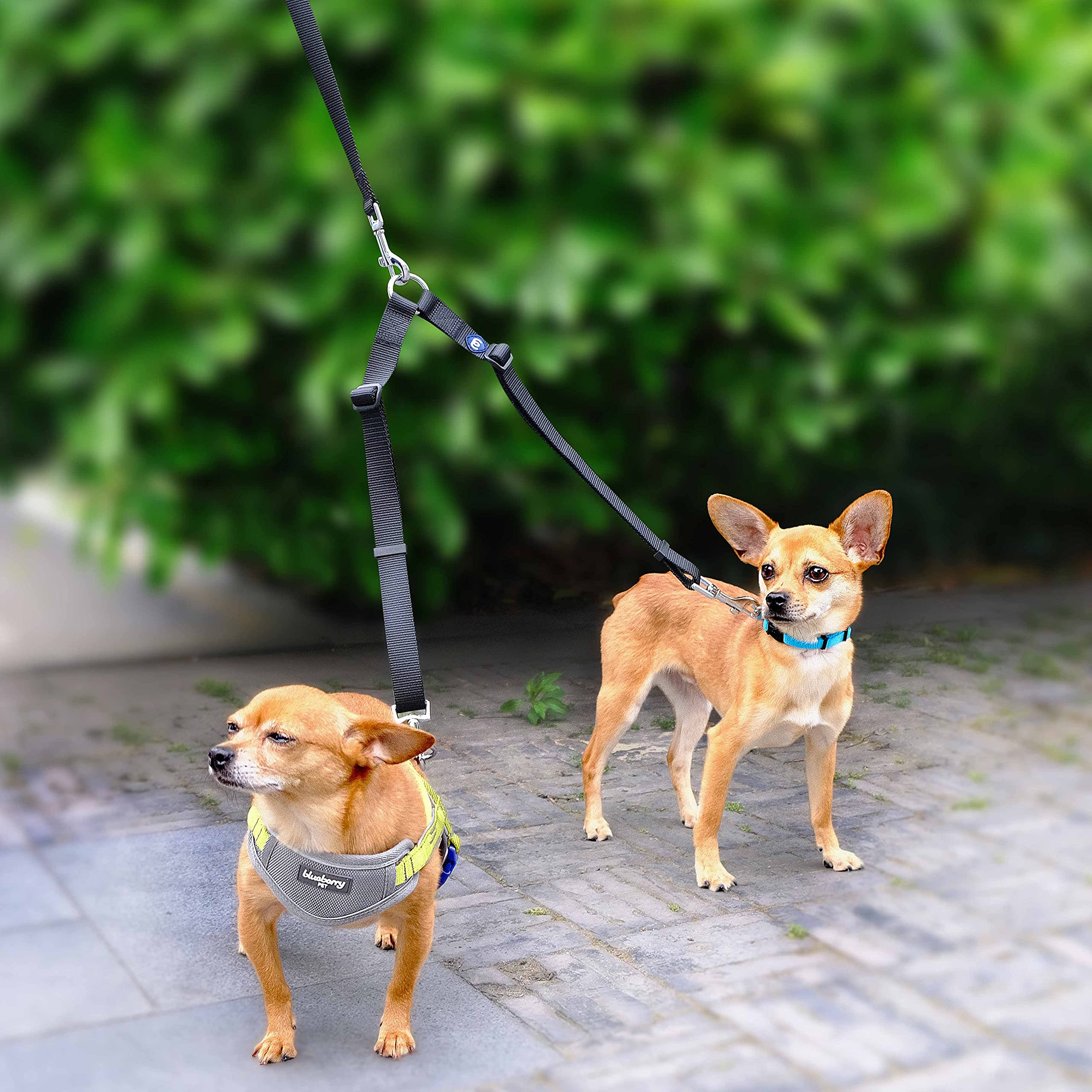 Blueberry Pet Essentials Durable Classic Double Dog Leash Coupler, Military Green, Medium/Large, Dual Walking & Training Leashes For Two Dogs