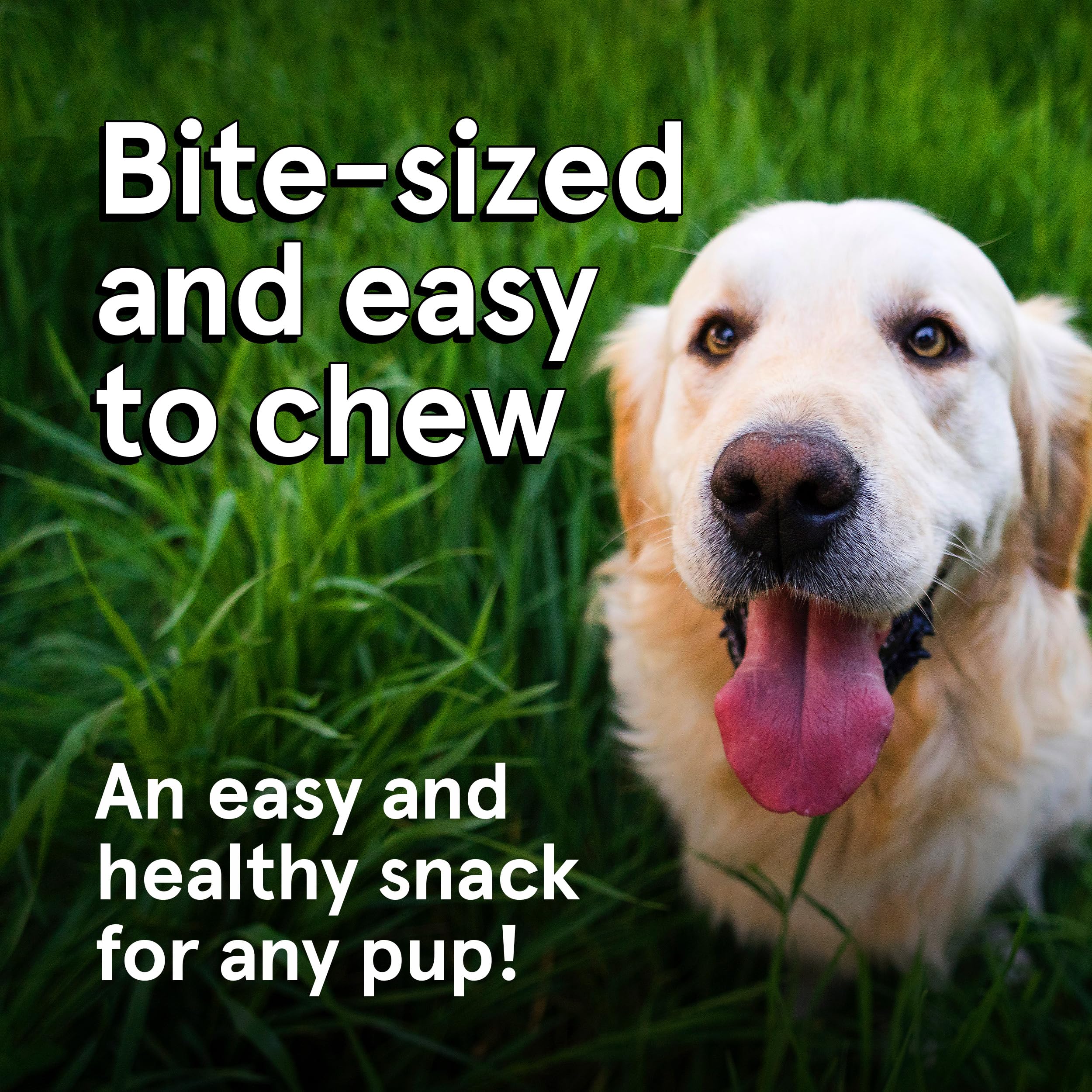 Real Meat Dog Treats - 12oz Bag of Bite-Sized Air-Dried Venison Jerky for Dogs - Grain-Free Jerky Dog Treats Made up of 95% Huma