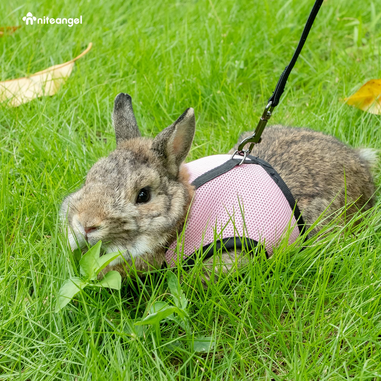 Niteangel Adjustable Soft Harness With Elastic Leash For Rabbits (Xl, Pink)