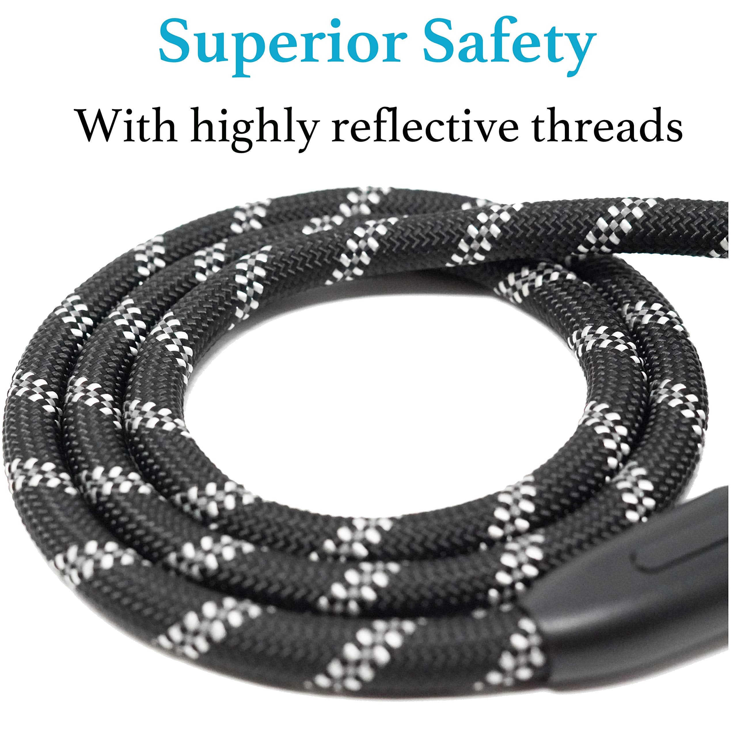 Iyoshop Durable Slip Lead Dog Leash With Padded Handle And Highly Reflective Threads, No Pull Dog Training Leash, (3/8'' X 6 Ft,