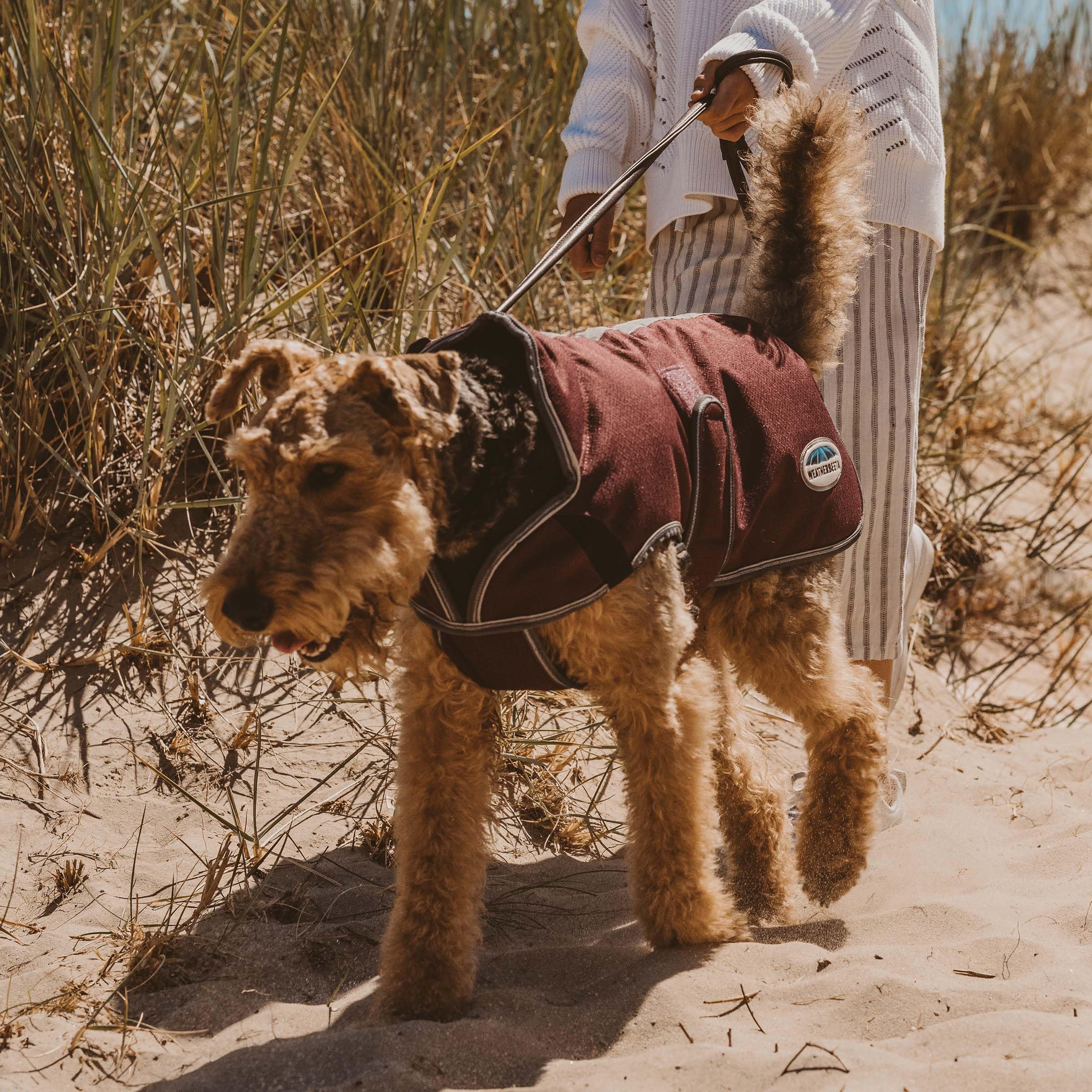 Weatherbeeta Comfitec Premier Free Parka Deluxe Dog Coat Medium, Dark Blue/Grey/White, 32'