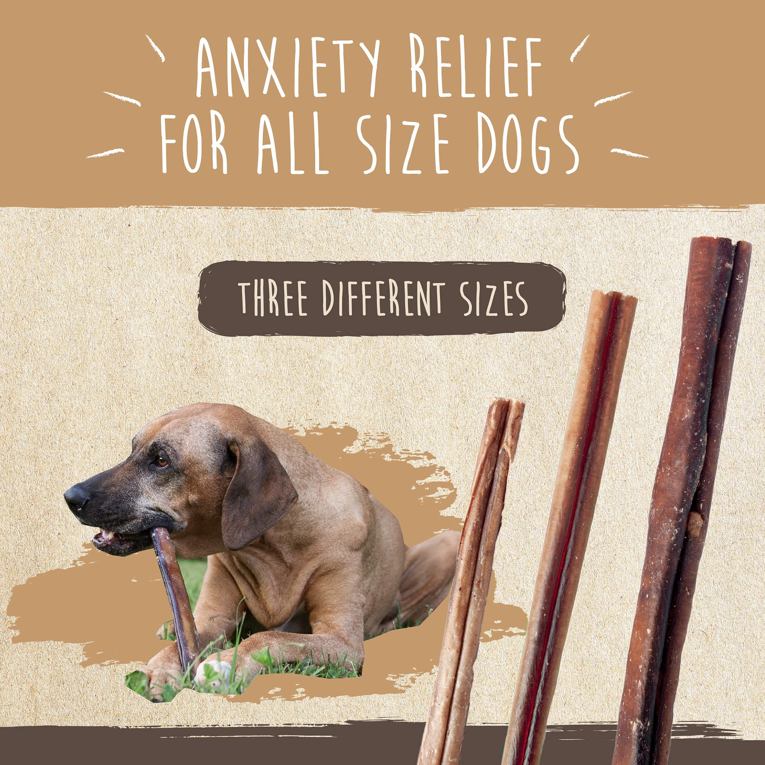 Mighty Paw Naturals Large Bully Sticks for Dogs, Protein Rich Dog Chews from Grass-Fed Beef | Thick Bully Sticks for Dental Heal