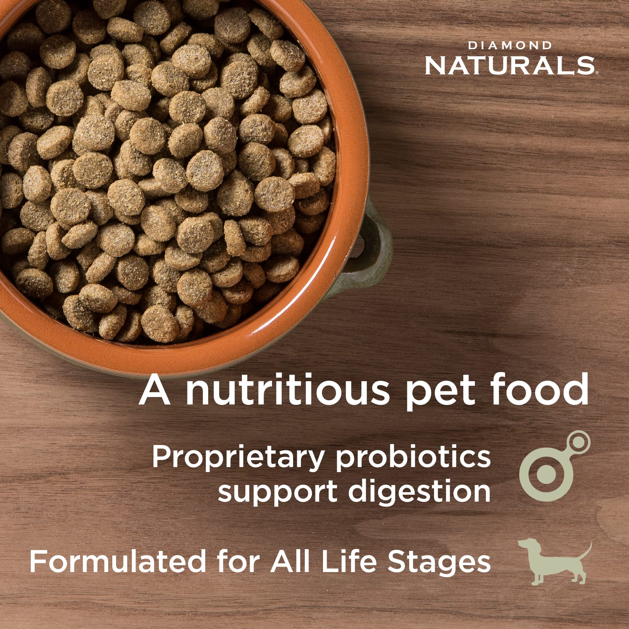 DIAMOND NATURALS Skin & Coat Real Meat Recipe Dry Dog Food with Wild Caught Salmon 30 Pound (Pack of 1)