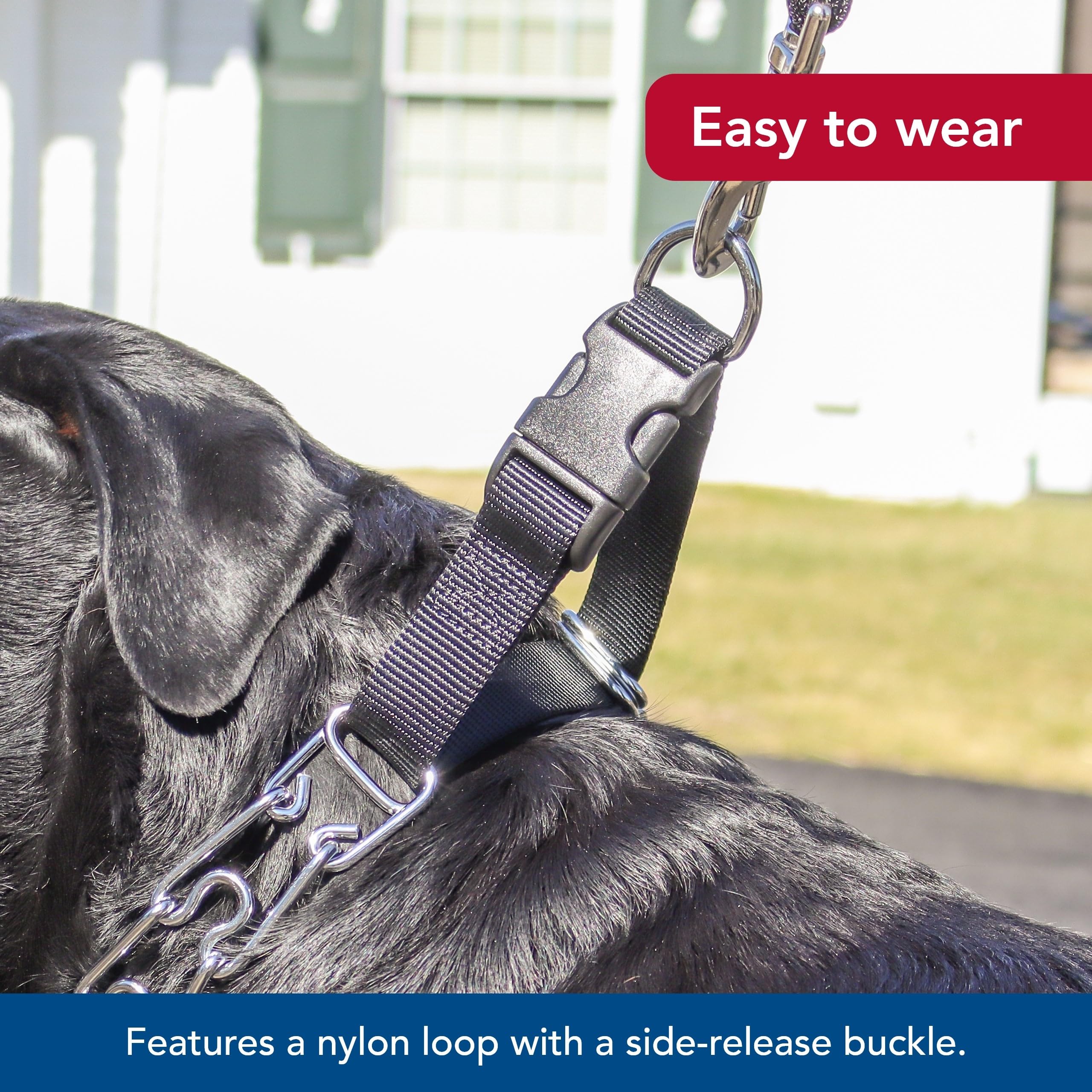 Coastal Pet Titan Easy-On Dog Prong Training Collar With Buckle - Training Collar For Dogs - Durable Metal Dog Collar - Training Collar With Side Release Buckle - Black, 3 Mm X 18'