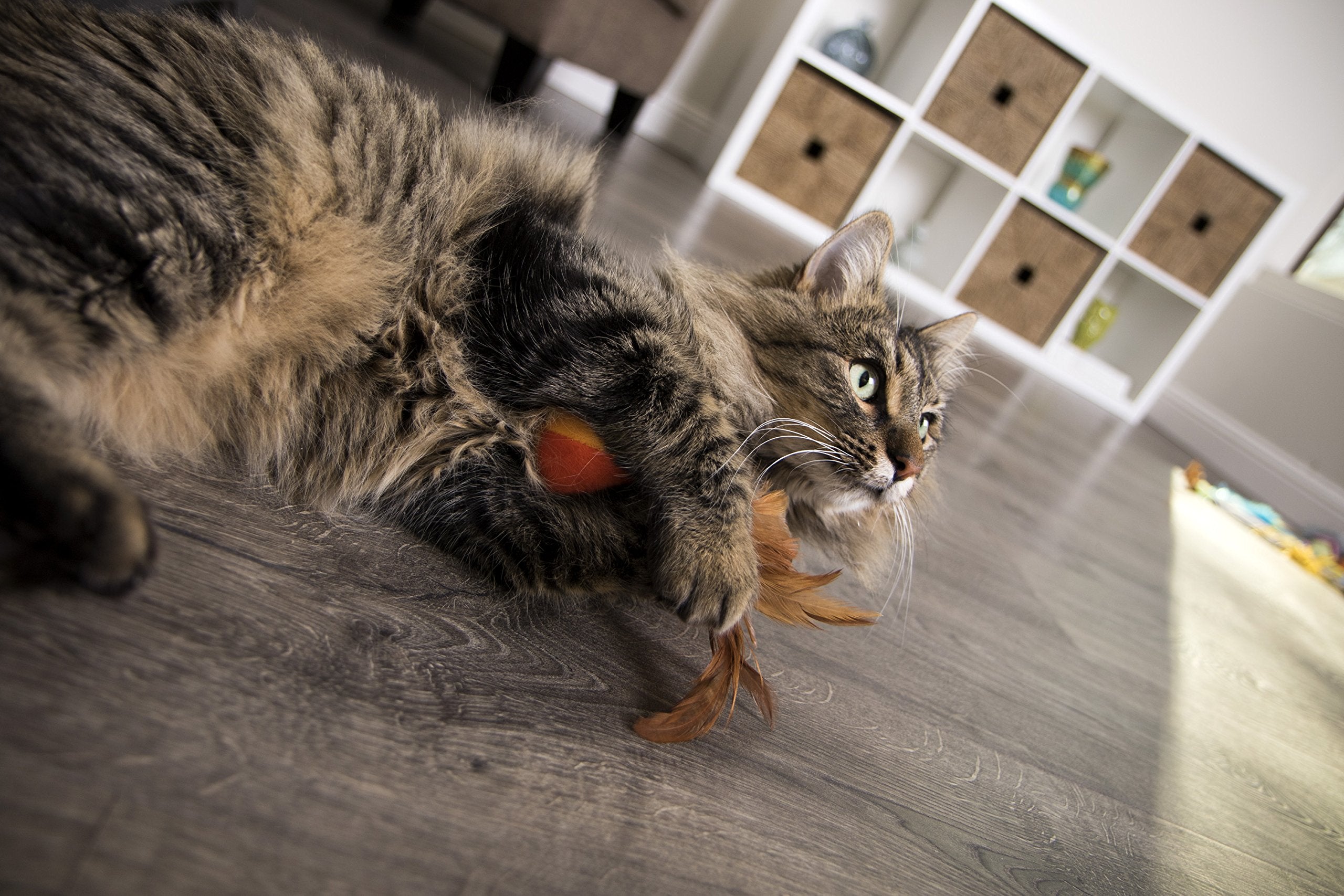 Smartykat (2 Count) Flutter Balls Feather Cat Toys - Multi Color, 2 Count