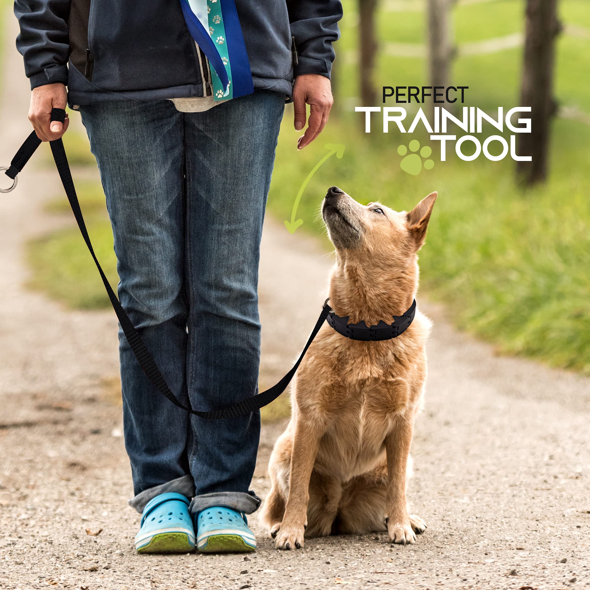 Ram-Pro Dog Training Pinch Collar Large Triple Crown Gentle Effective/No Barking Control For All Breeds