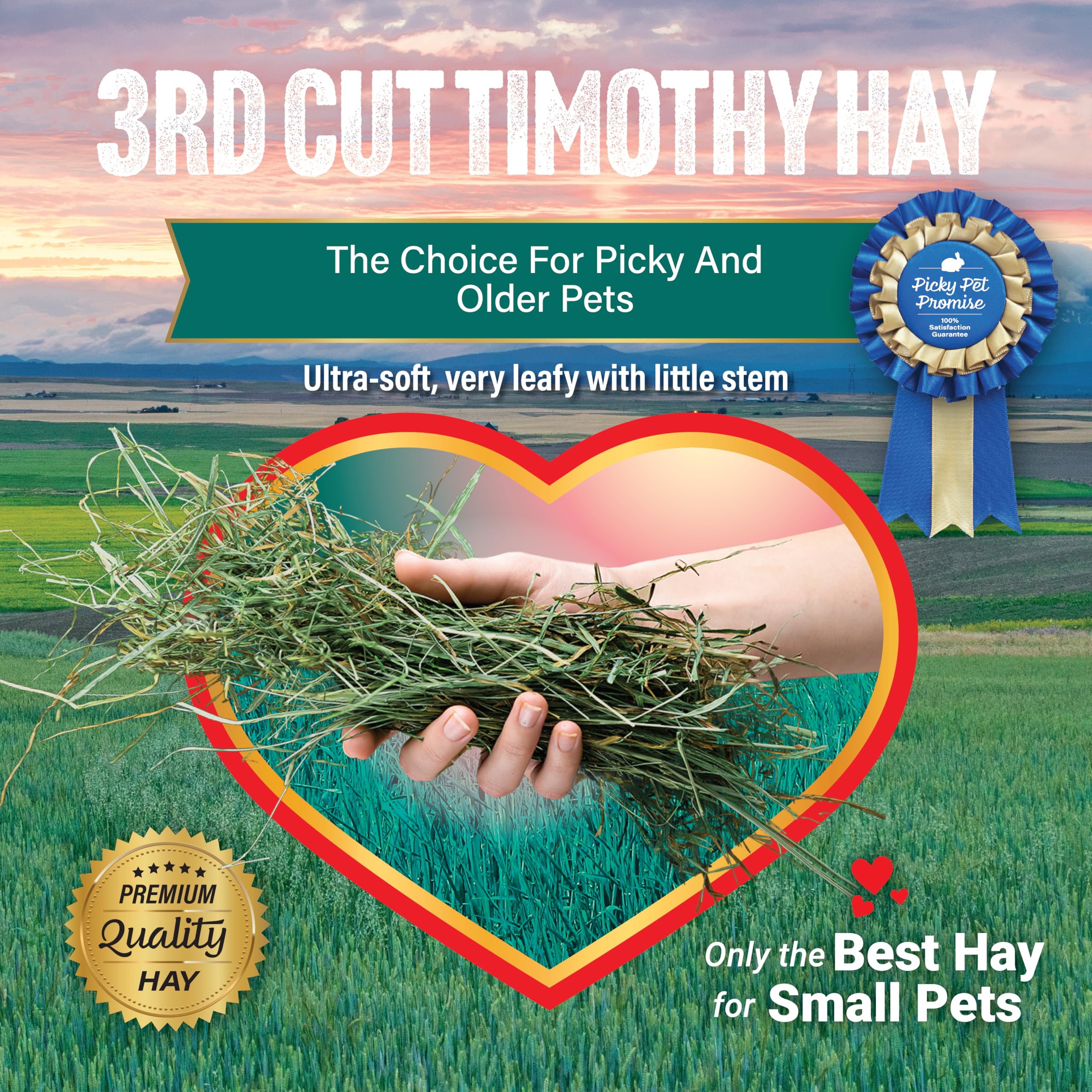 Small Pet Select 3rd Cutting Super Soft Timothy Hay Pet Food for Picky Eaters, Rabbits, Guinea Pigs, and Other Small Animals, Ea