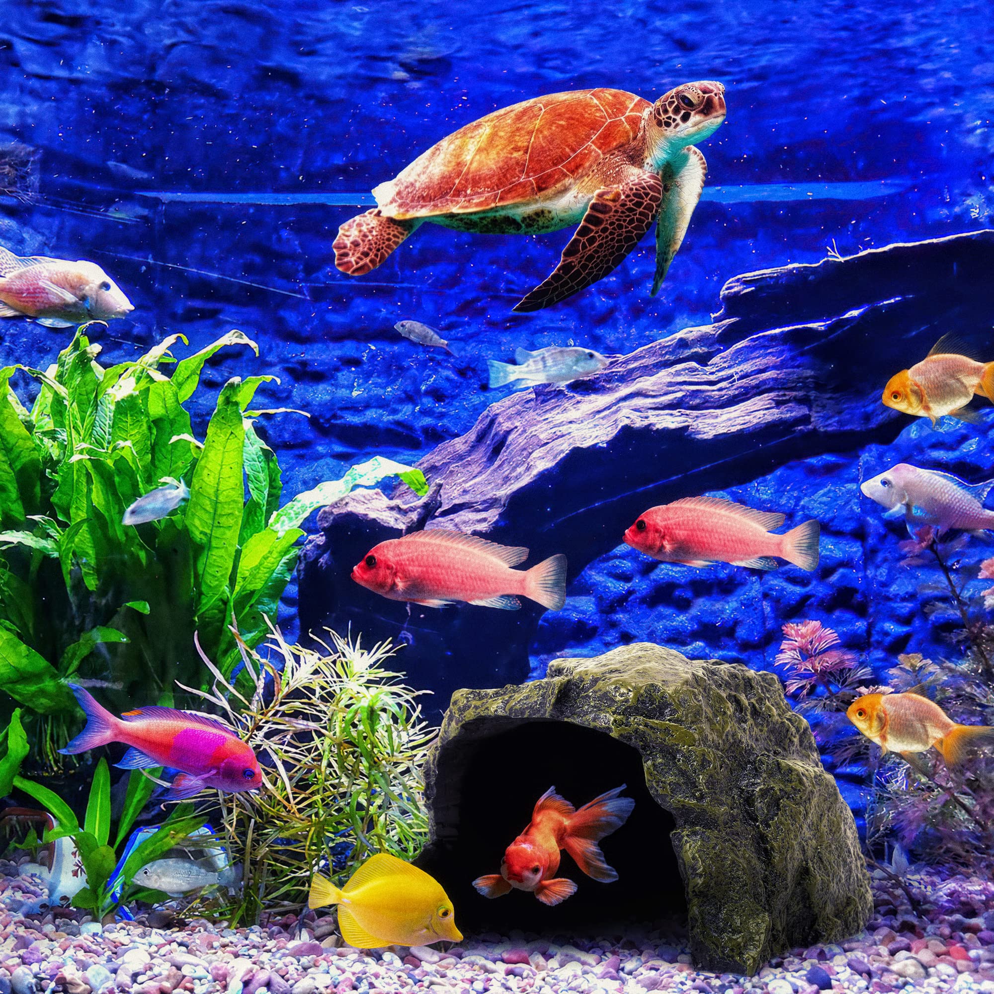 Reptile Rock Hide Cave - World 9.99 Mall Reptile Rock Hide Habitat Decoration|Natural,Non-Toxic, Made of Resin | Hideout for Sma