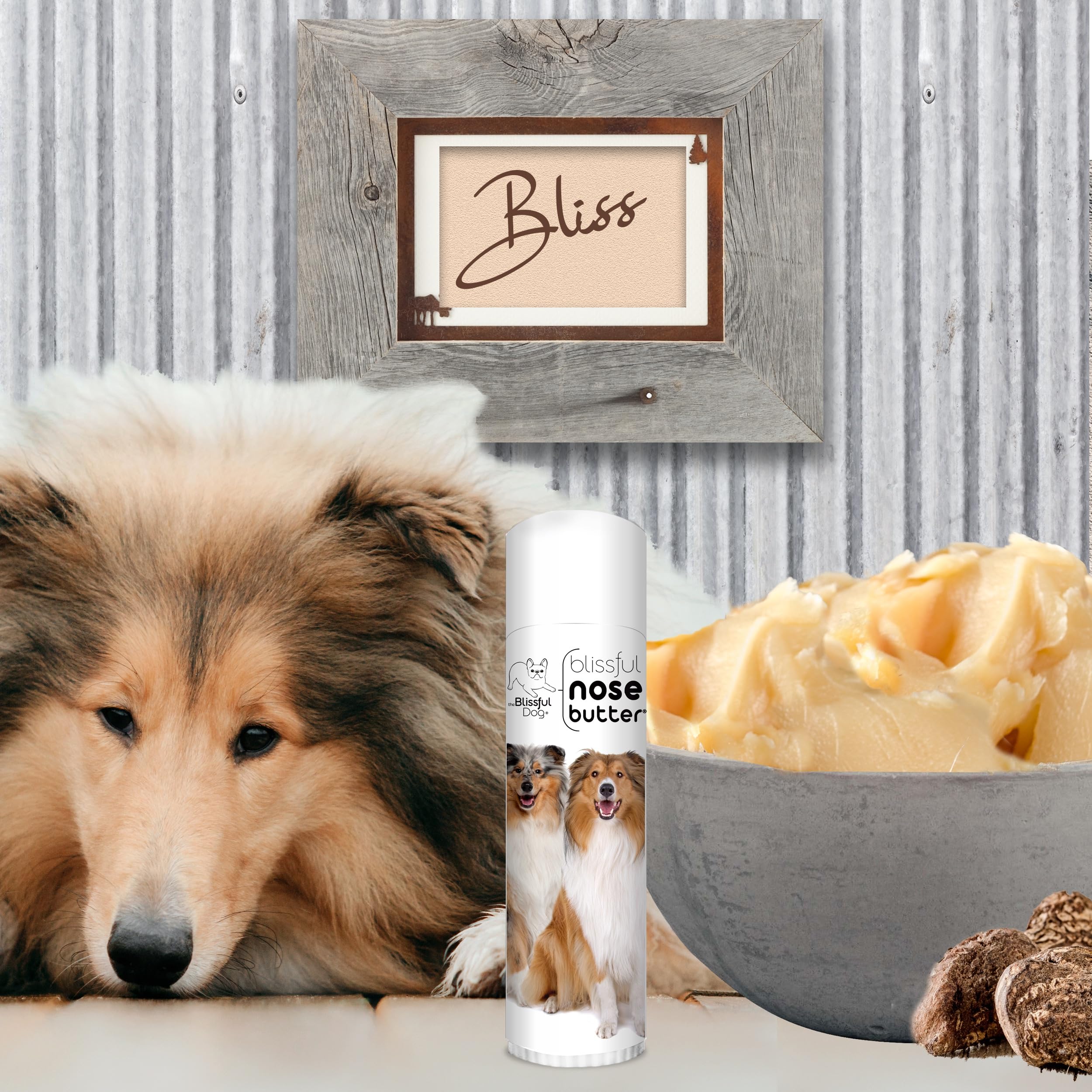 The Blissful Dog Collie Unscented Nose Butter, 0.50-Ounce